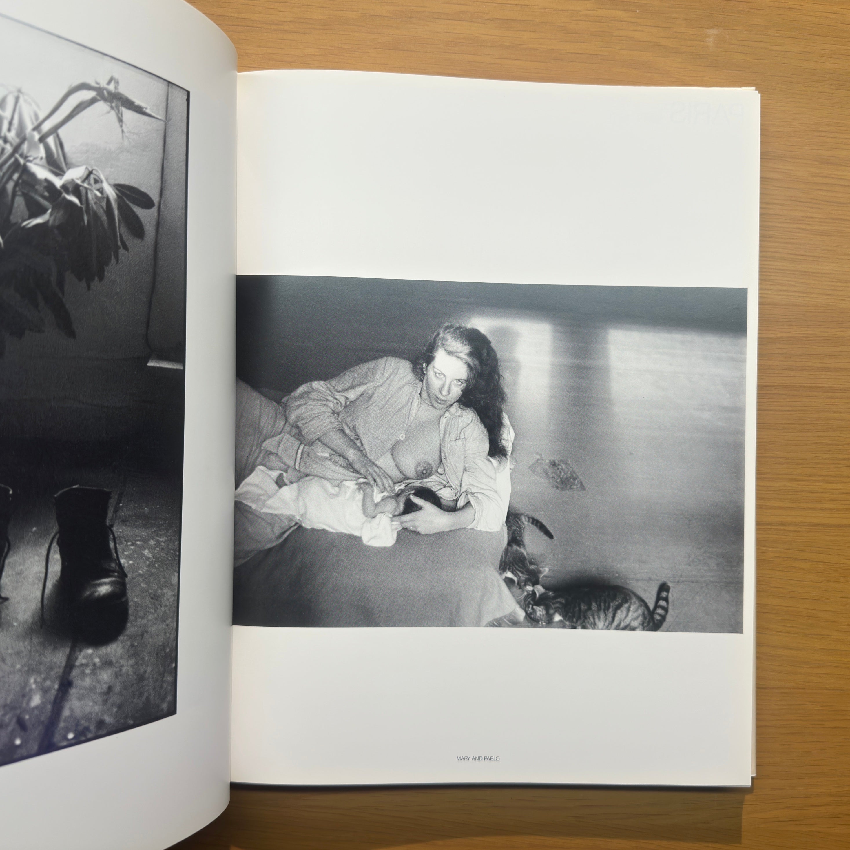 Las líneas de mi mano - Robert Frank, primera edición de Parkett / Der Alltag