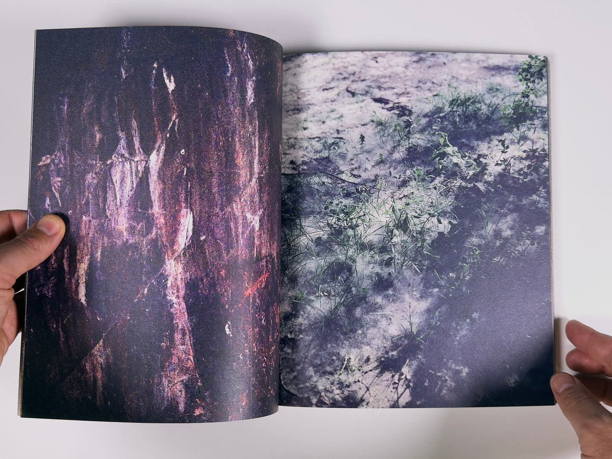 The Night Face Up — Mauro Fiorito — 89books