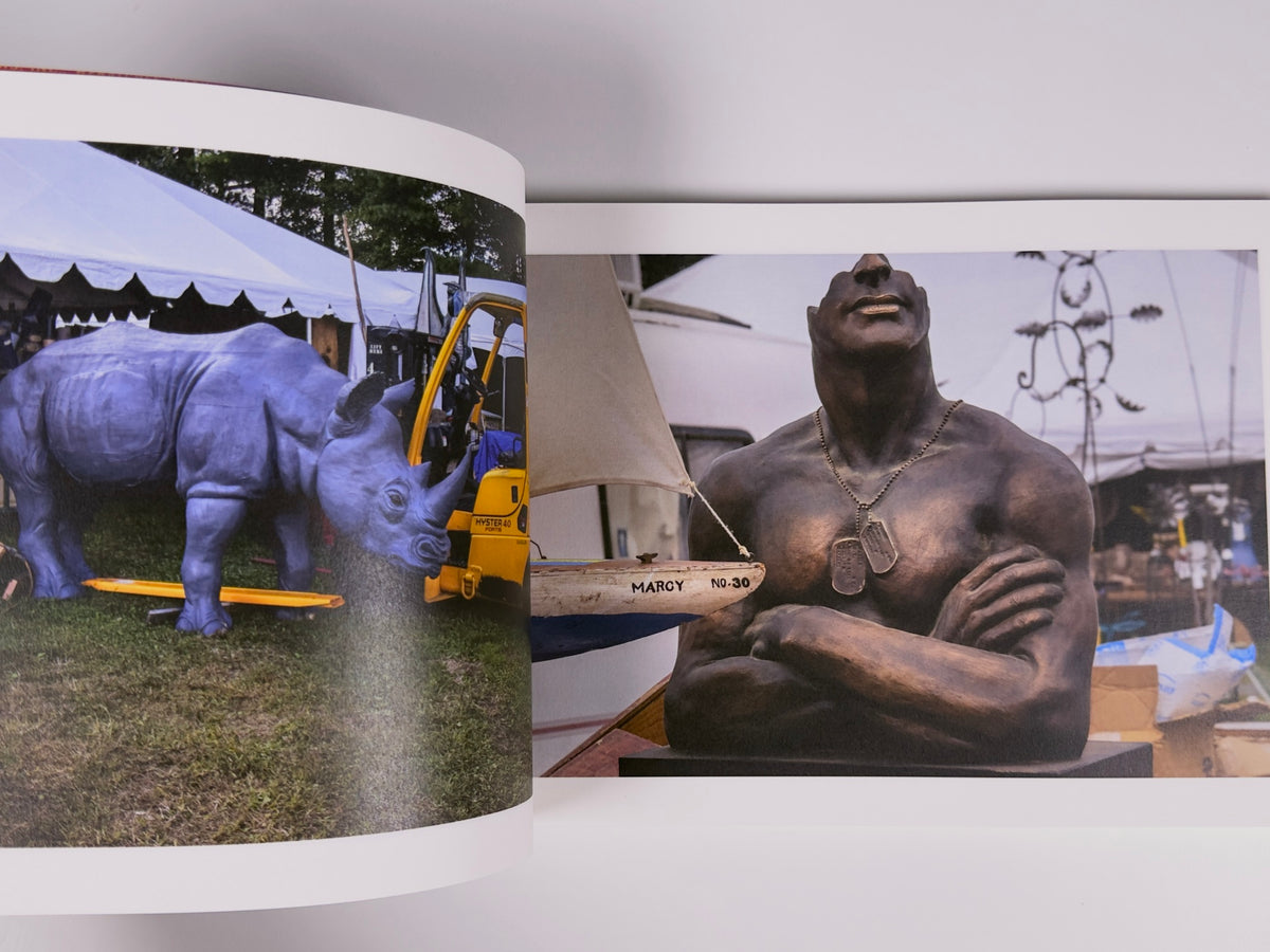 Bizarroland — Steven Edson — 89books