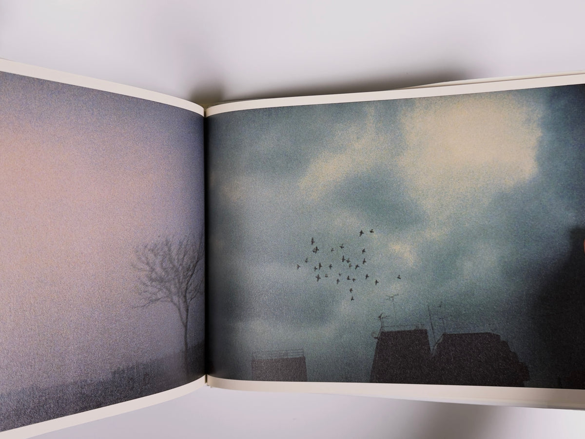 夜間飛行 (Night Flight) — Sakiko Nomura — Little More — 2008