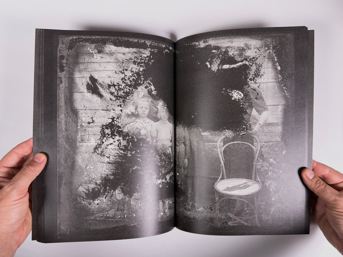 Charomushki Odyssey — Andrei Loginov — 89books