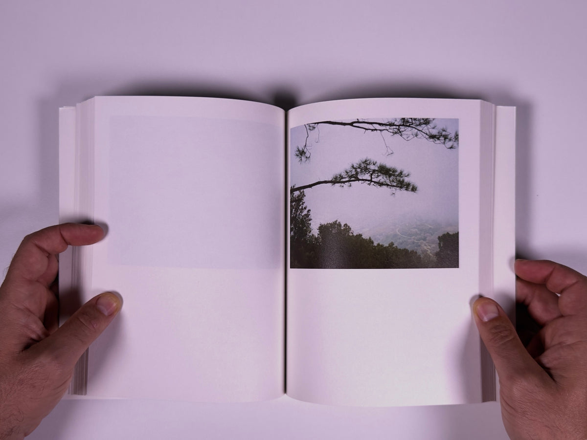 Lucelutto — Pietro Motisi — 89books