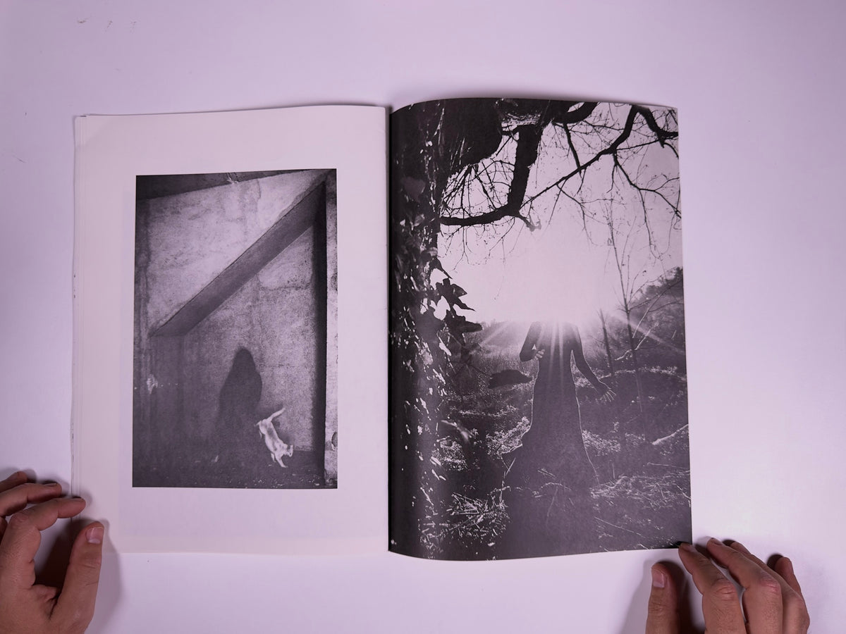 Photographs — Nerina Toci — 89books