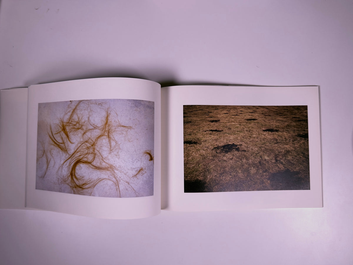 A Theory of Happyness — Taisuke Sato — 89books