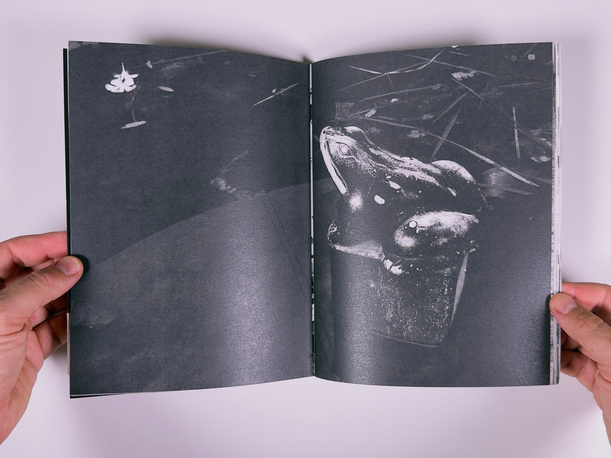 TAN — Mauro D'Agati — 89books