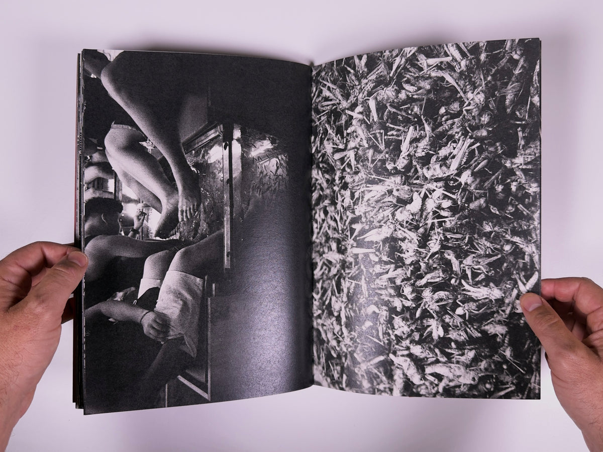 Bangkok Sketches — Mauro D'Agati — 89books
