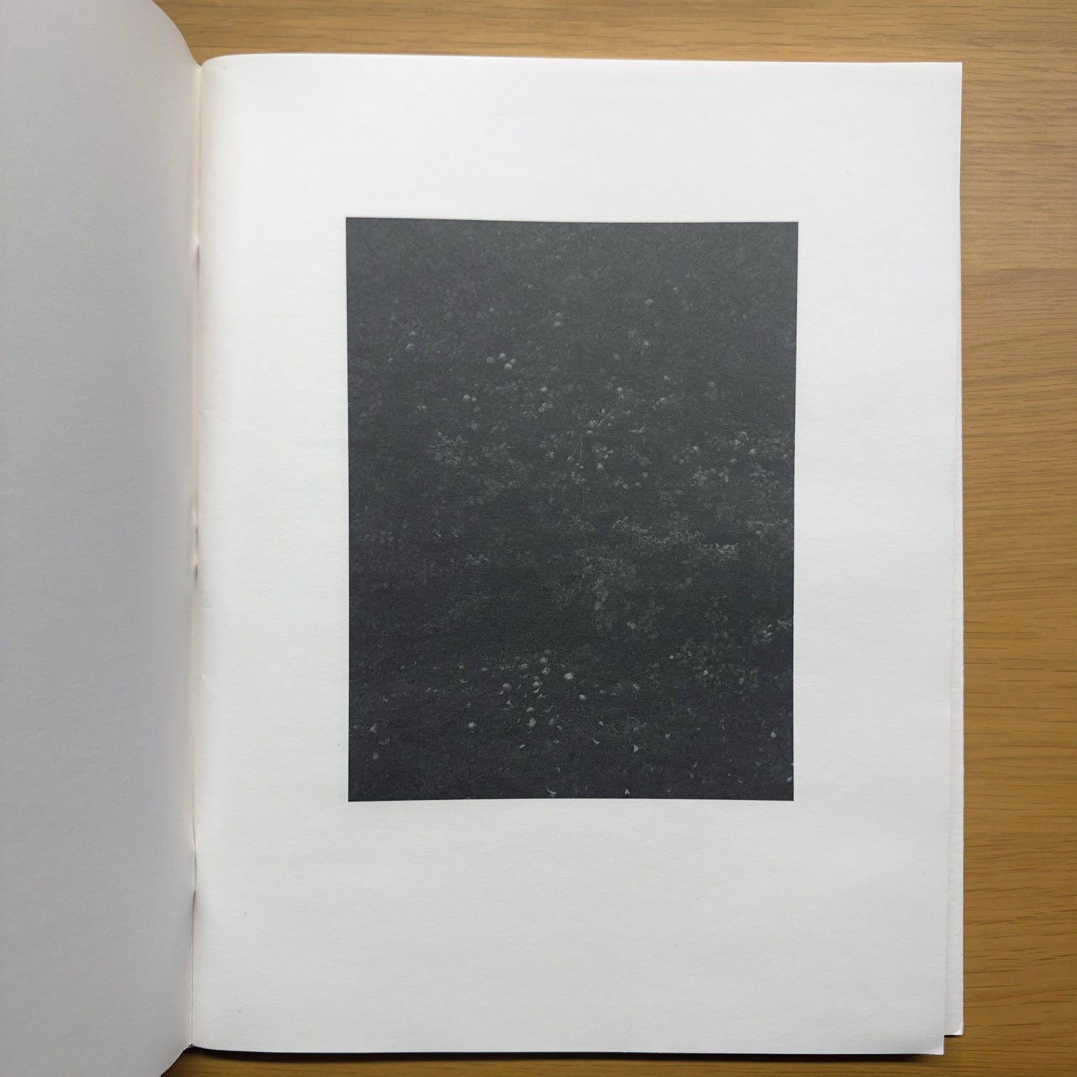 La gravetat del lloc — Israël Ariño