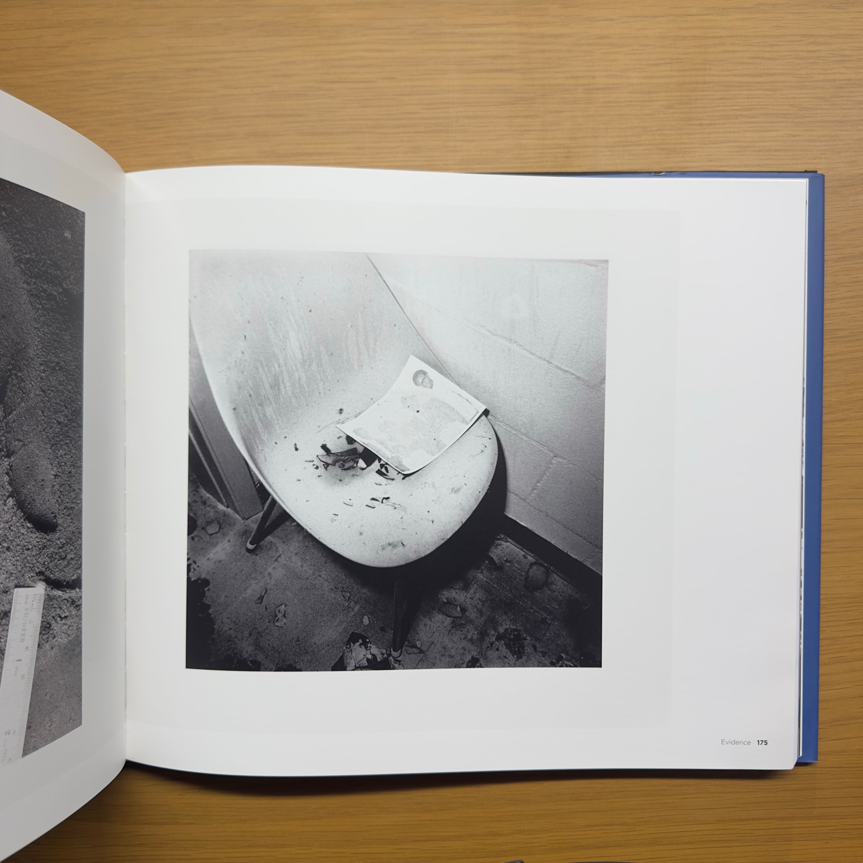 Larry Sultan y Mike Mandel — Sultan &amp; Mandel (DAP / Walther König)