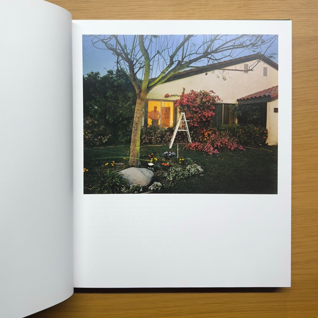 Imágenes desde casa — Larry Sultan (edición MACK 2021)
