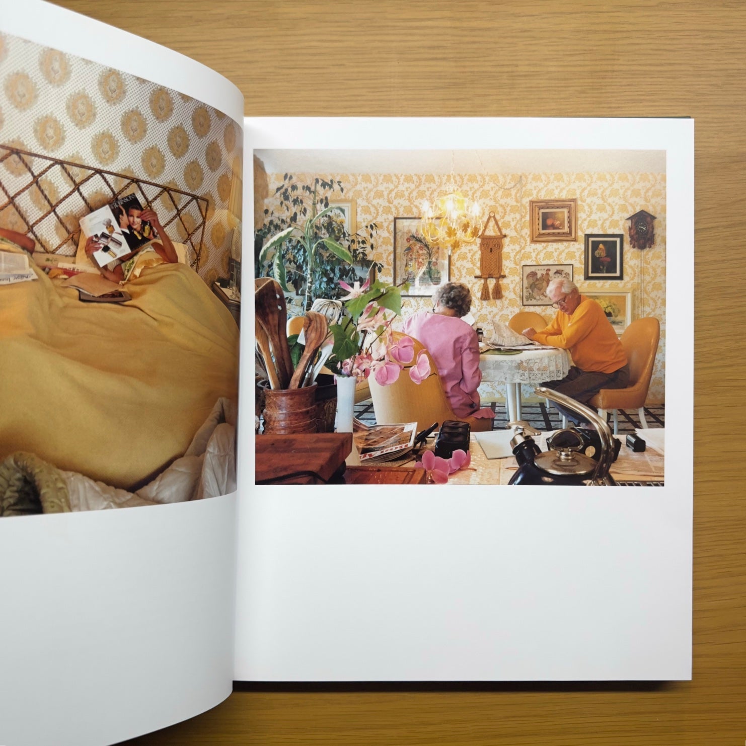 Imágenes desde casa — Larry Sultan (edición MACK 2021)