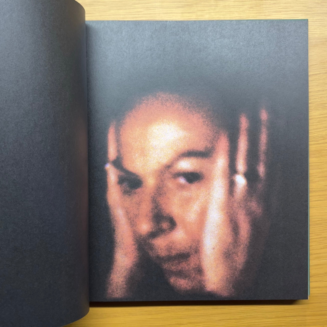 Imágenes desde casa — Larry Sultan (edición MACK 2021)