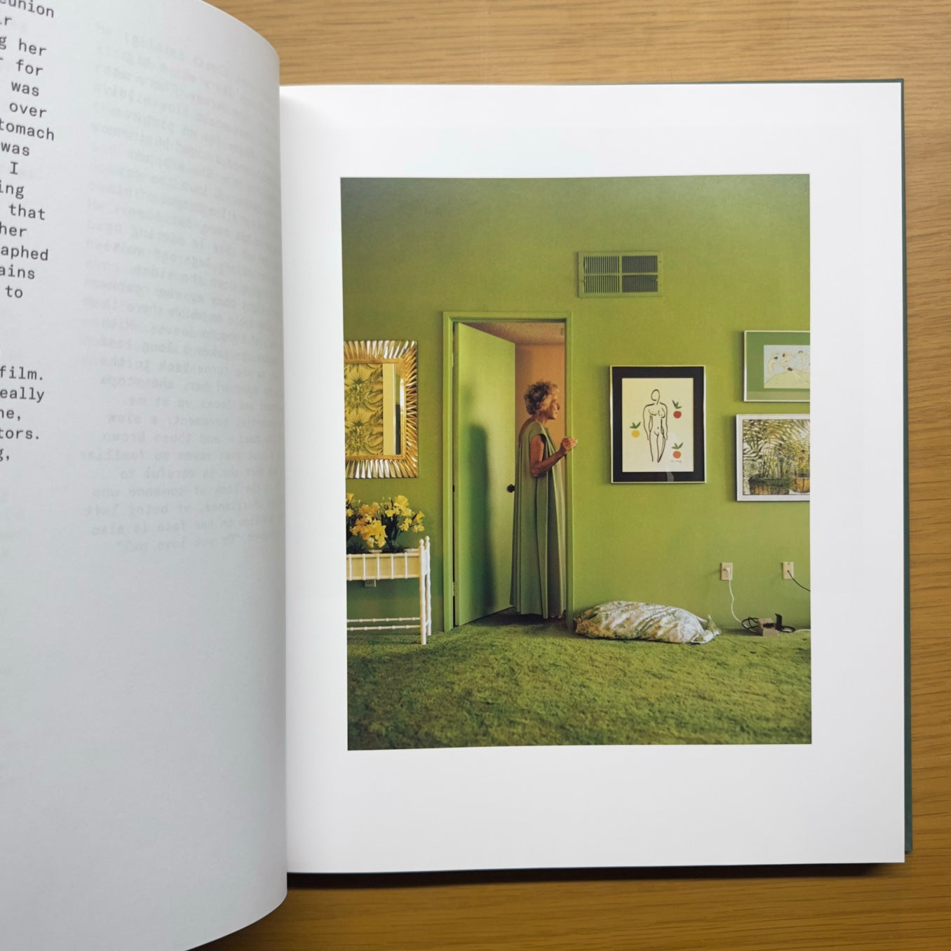 Imágenes desde casa — Larry Sultan (edición MACK 2021)