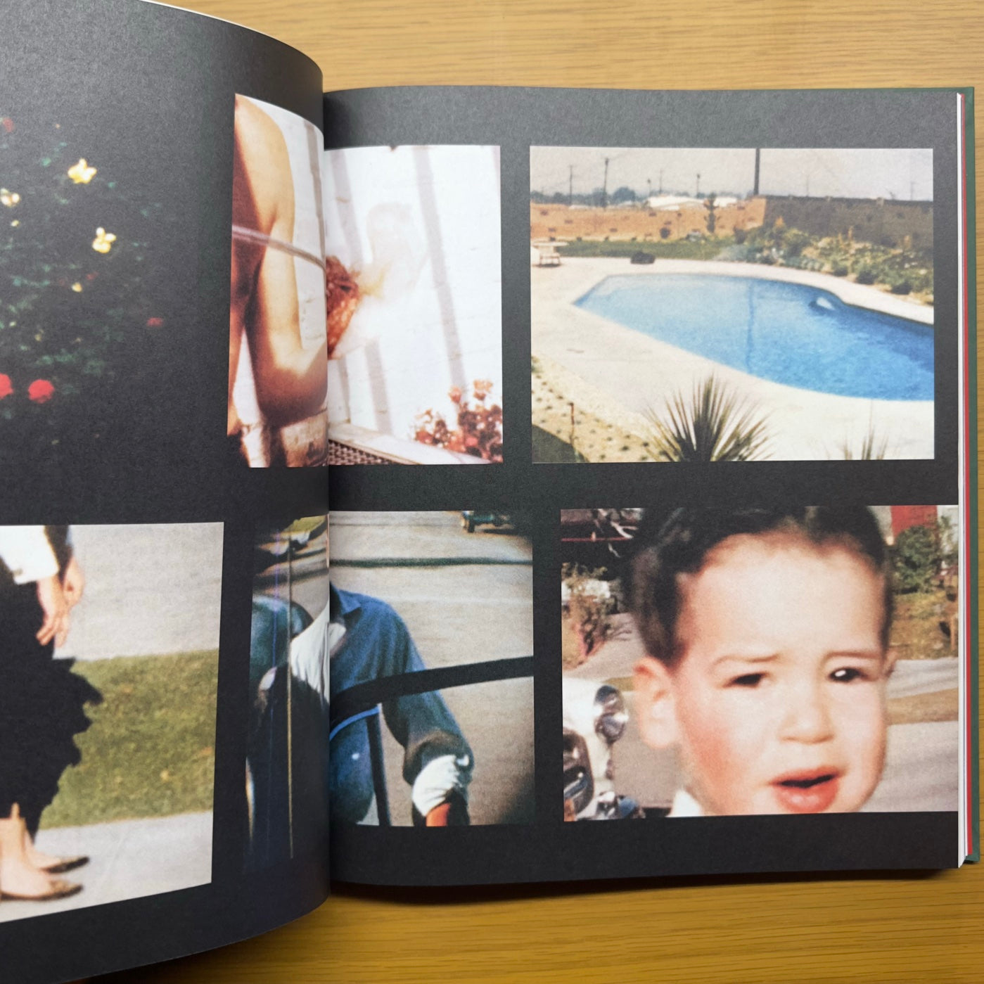 Imágenes desde casa — Larry Sultan (edición MACK 2021)
