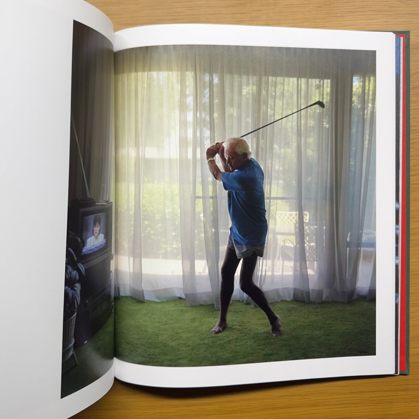 Imágenes desde casa — Larry Sultan (edición MACK 2021)