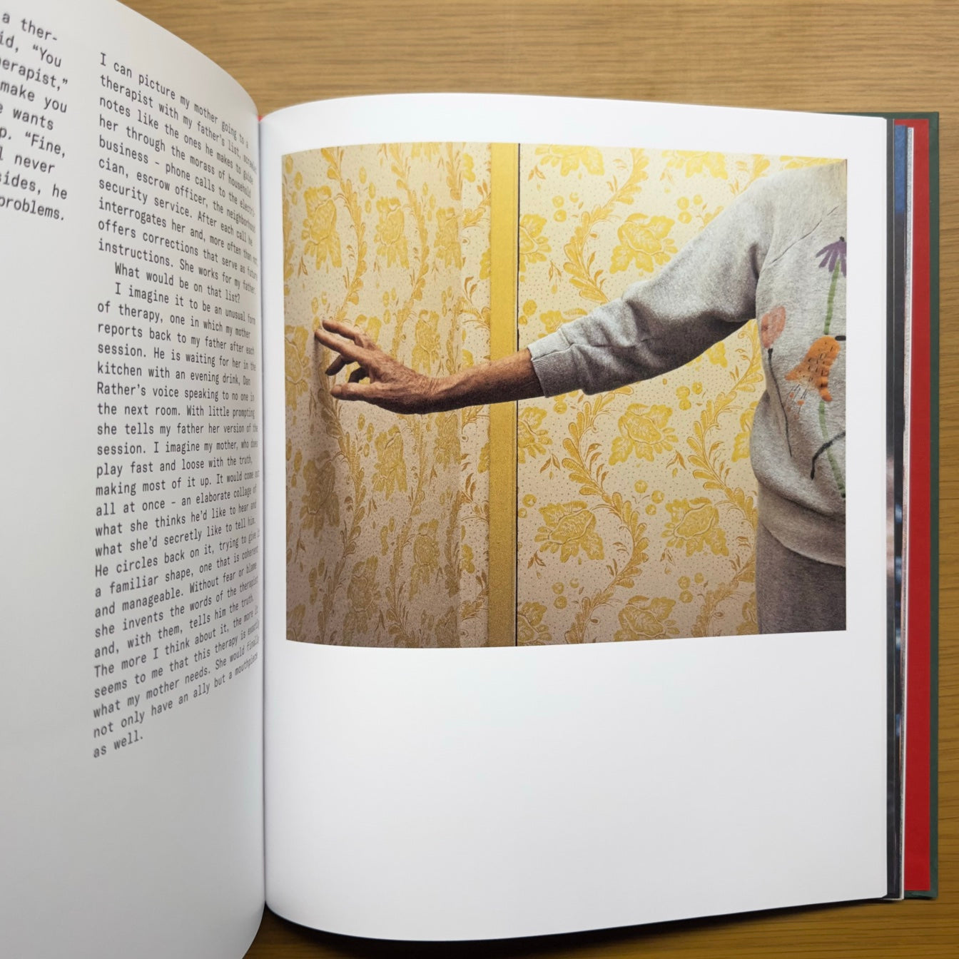 Imágenes desde casa — Larry Sultan (edición MACK 2021)