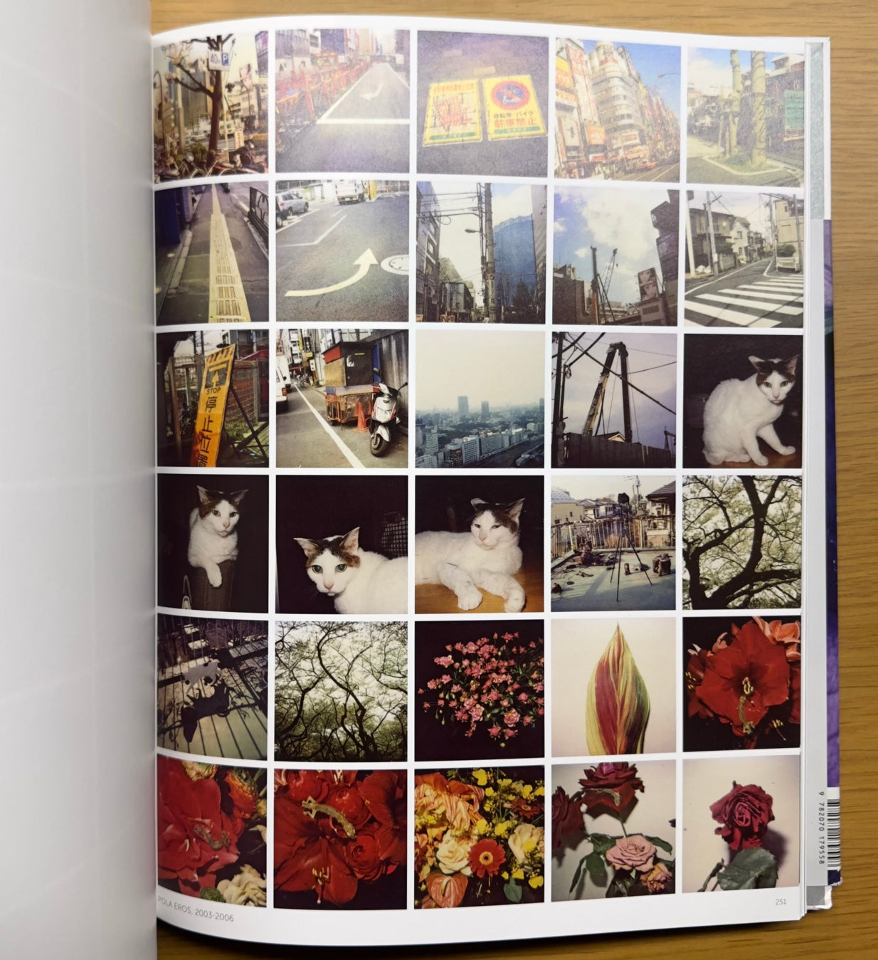Araki Nobuyoshi — Gallimard / Museo Guimet (2016)