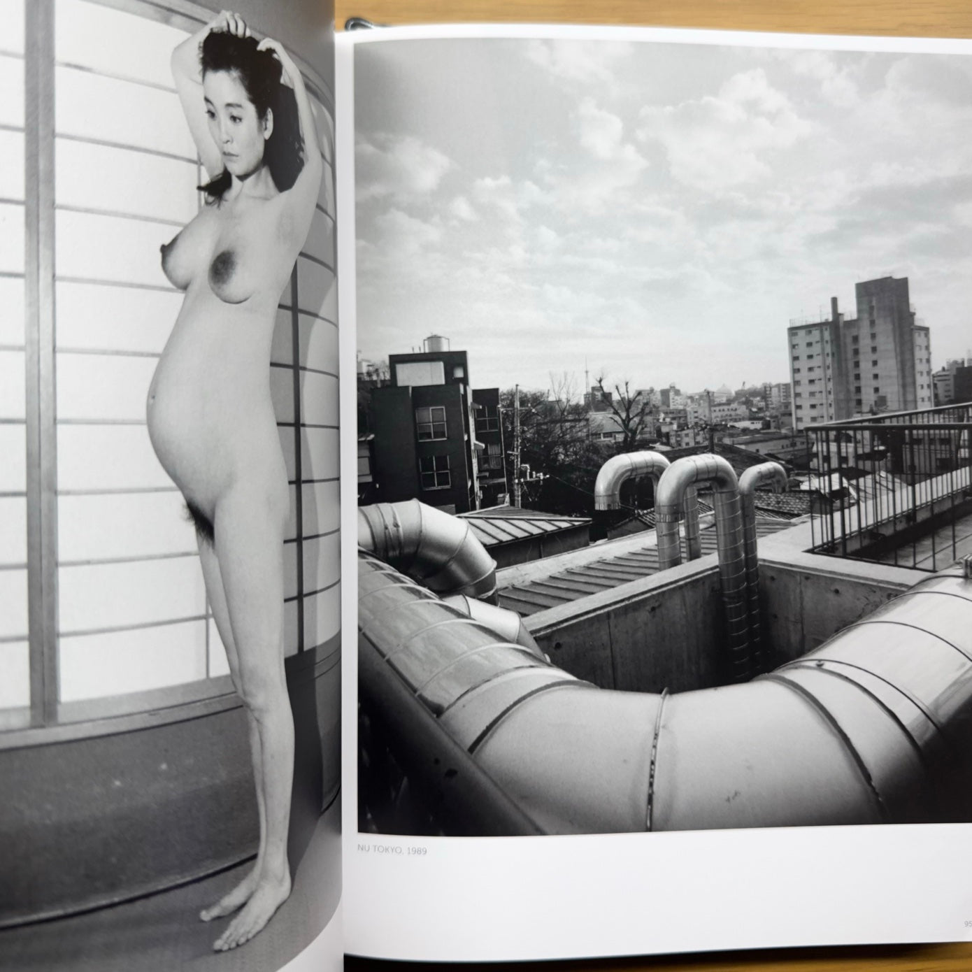 Araki Nobuyoshi — Gallimard / Museo Guimet (2016)