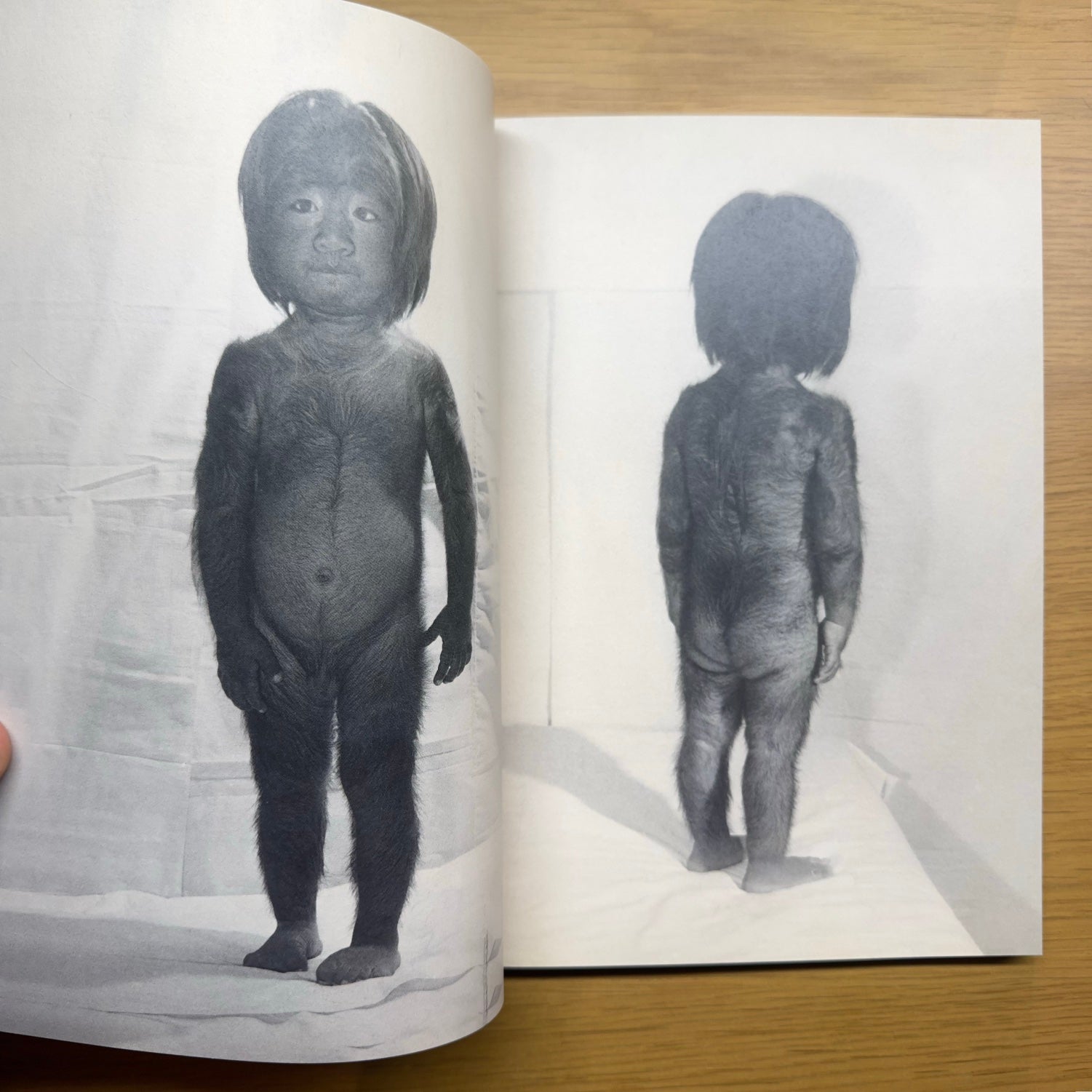 Percevoir — Thomas Sauvin &amp; François Durif (2022)