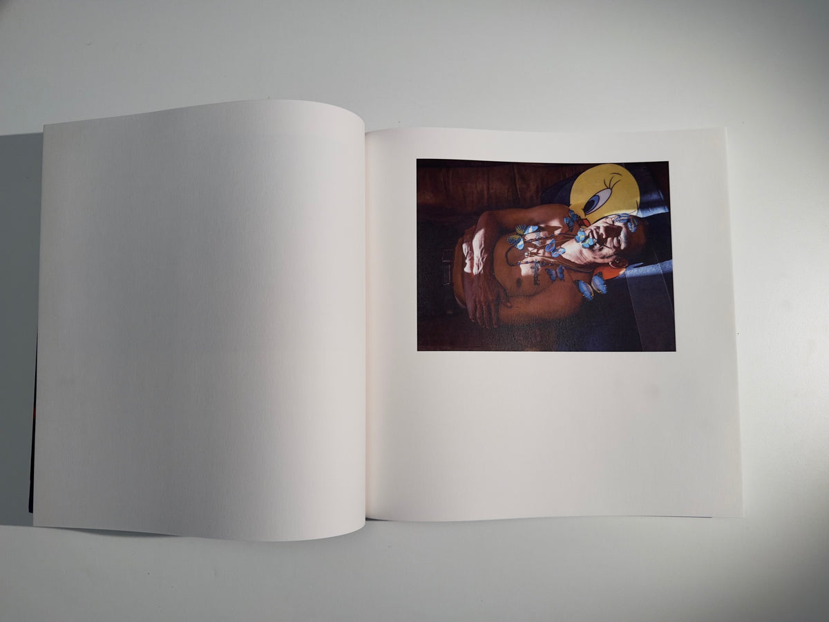Joe, Willets Point — Juliana Roccoforte Novello — 89books — 2024