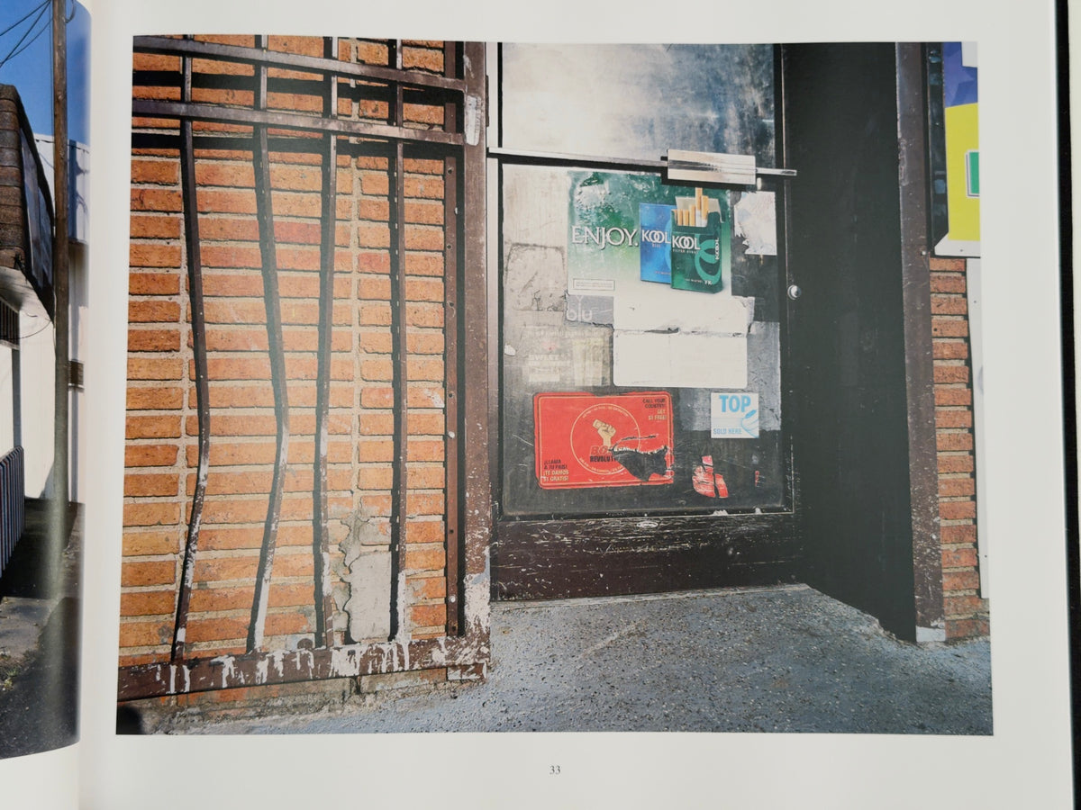 Noticings (2019–2021) — Patrick Sansone — Sansonica Books — 2025
