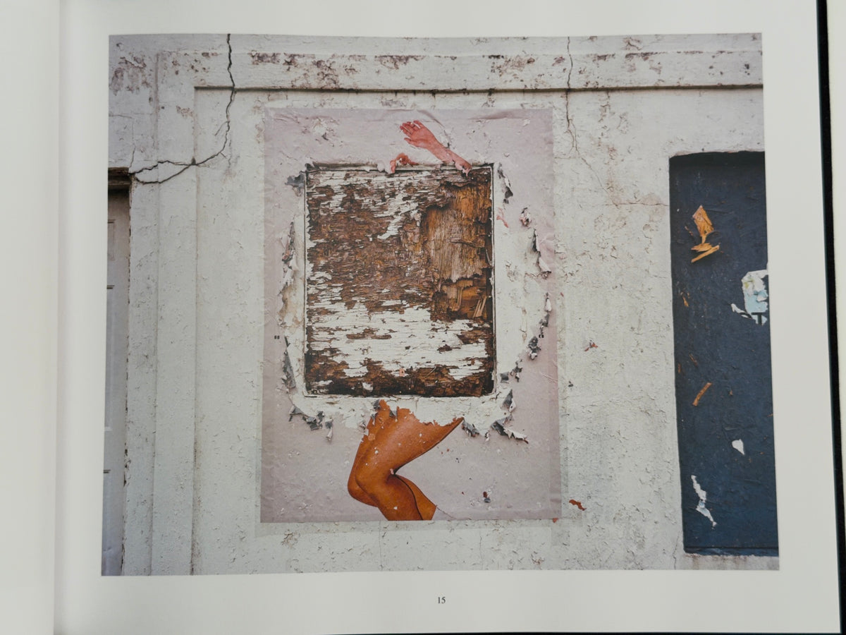 Noticings (2019–2021) — Patrick Sansone — Sansonica Books — 2025