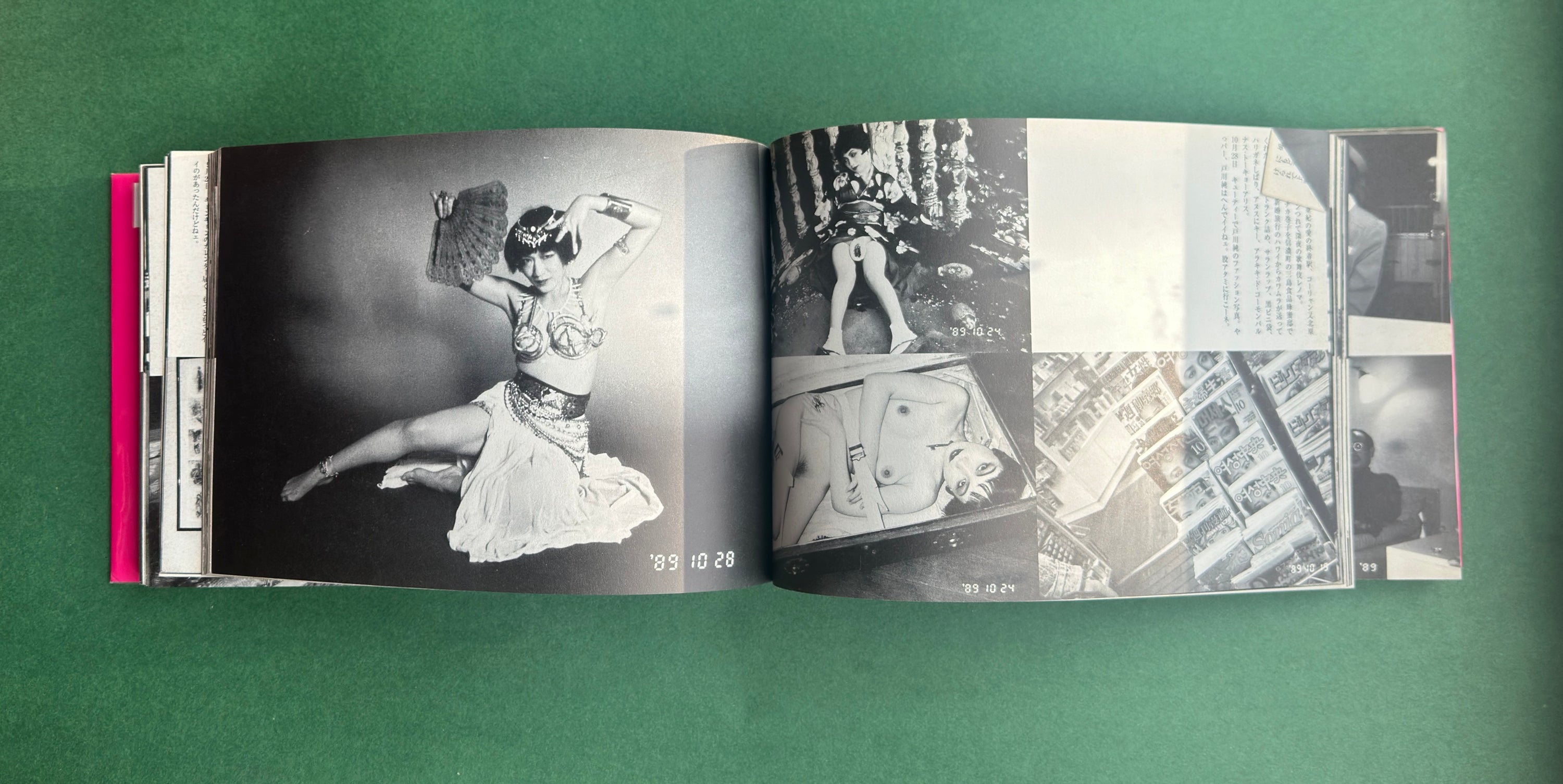 包茎亭日乗 (Hōkeitei Nichijō) — Nobuyoshi Araki, 1994