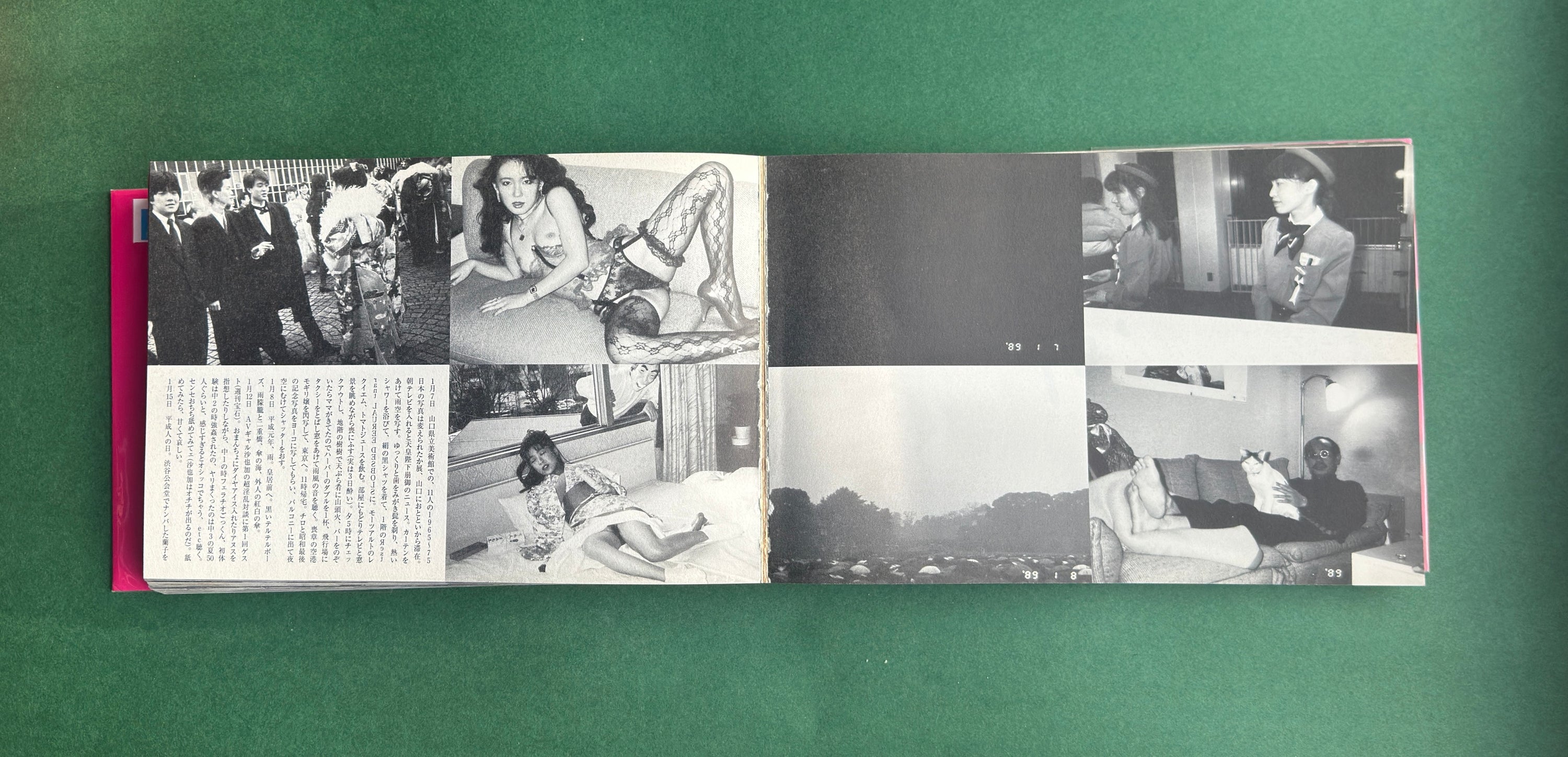 包茎亭日乗 (Hōkeitei Nichijō) — Nobuyoshi Araki, 1994