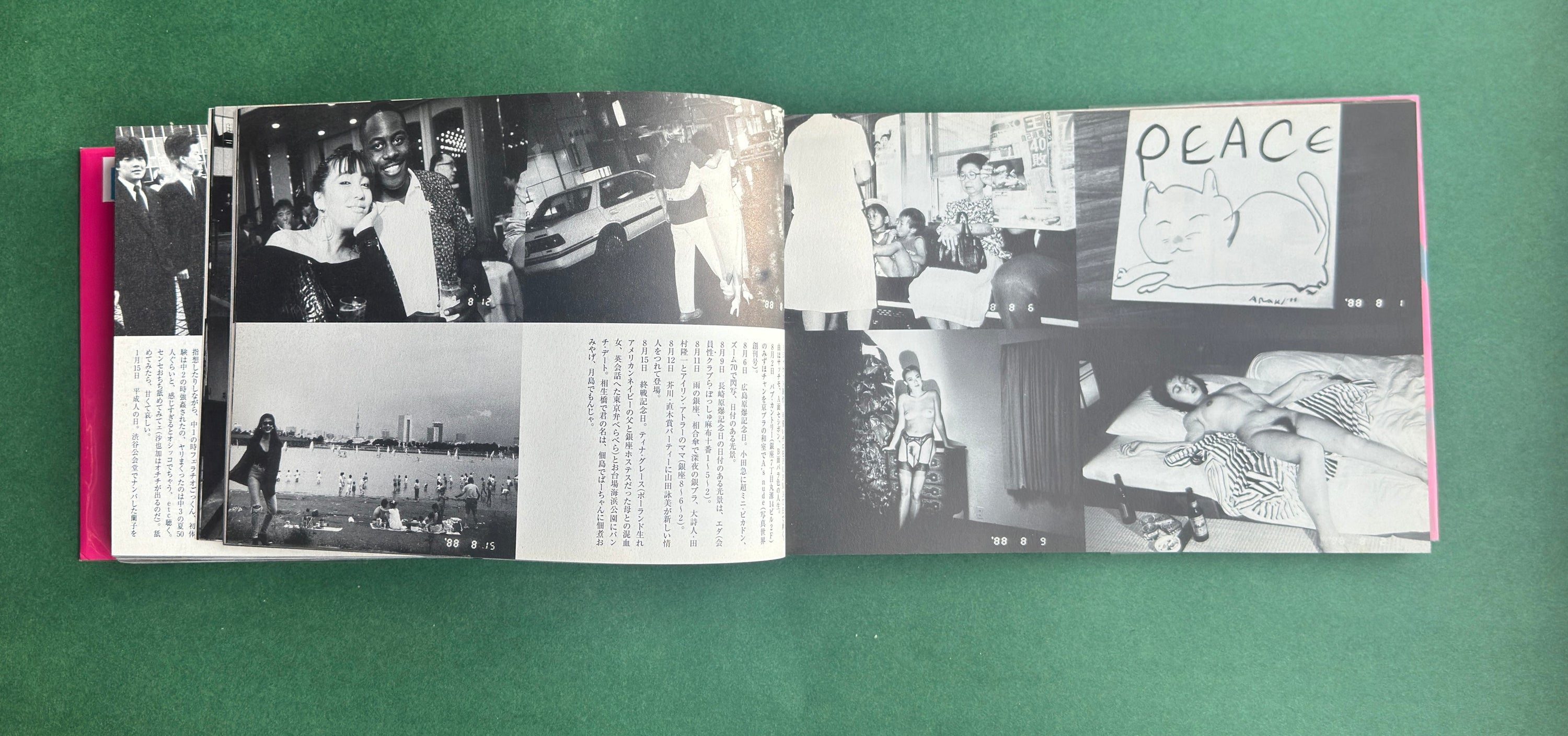 包茎亭日乗 (Hōkeitei Nichijō) — Nobuyoshi Araki, 1994