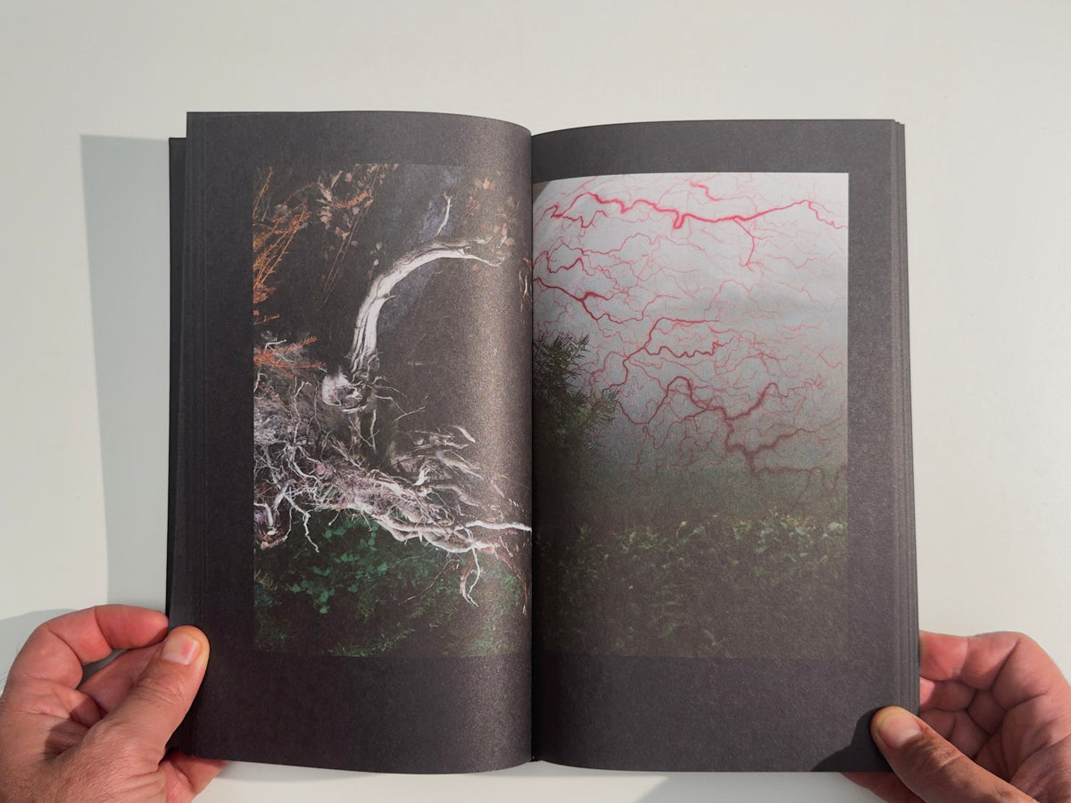 In Search of a Window of Opportunity / Exodus — Boris Mikhailov — 89books