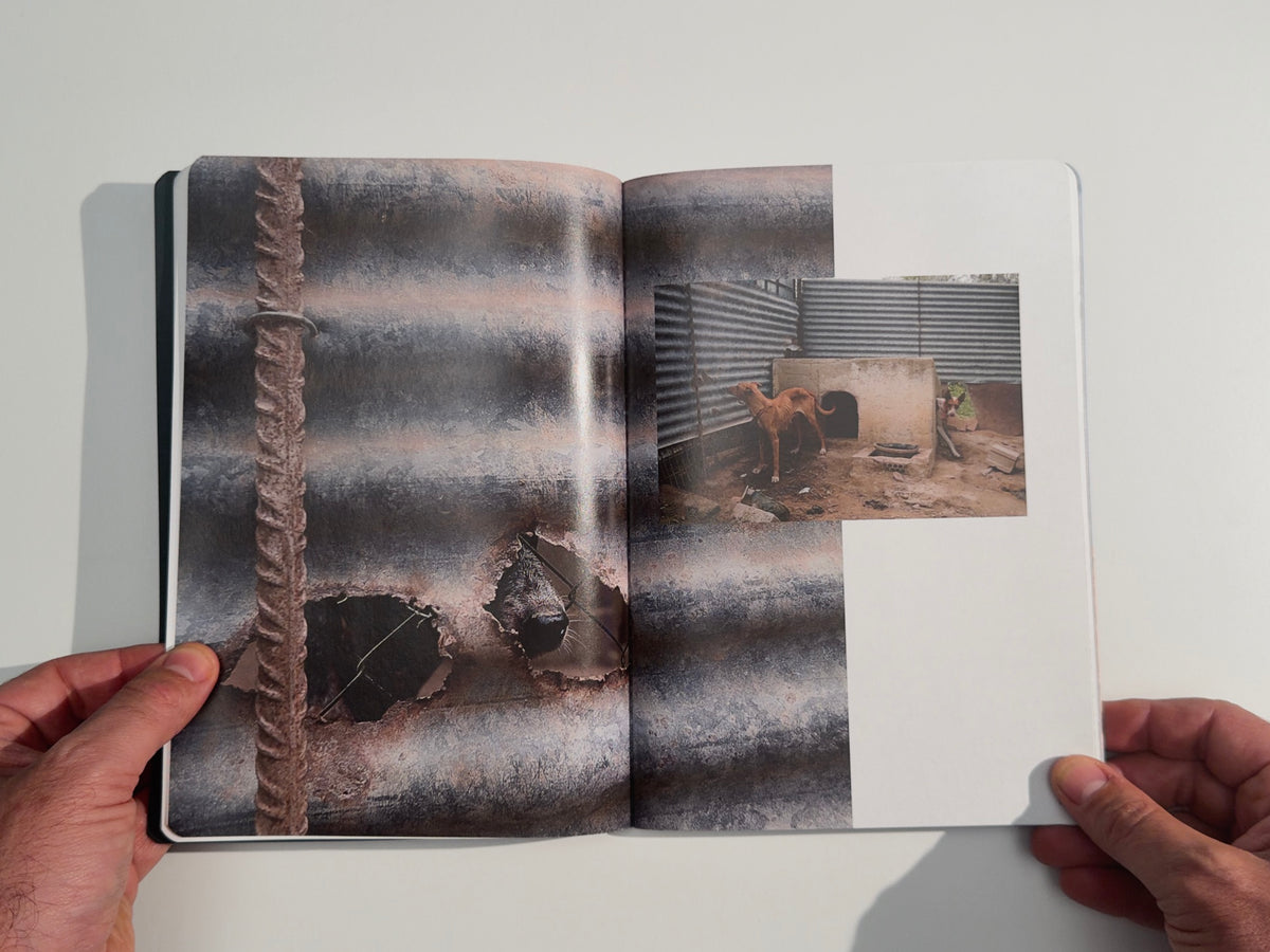 Cuaderno de campo — Antonio Moreno — Fundación CB — 2025