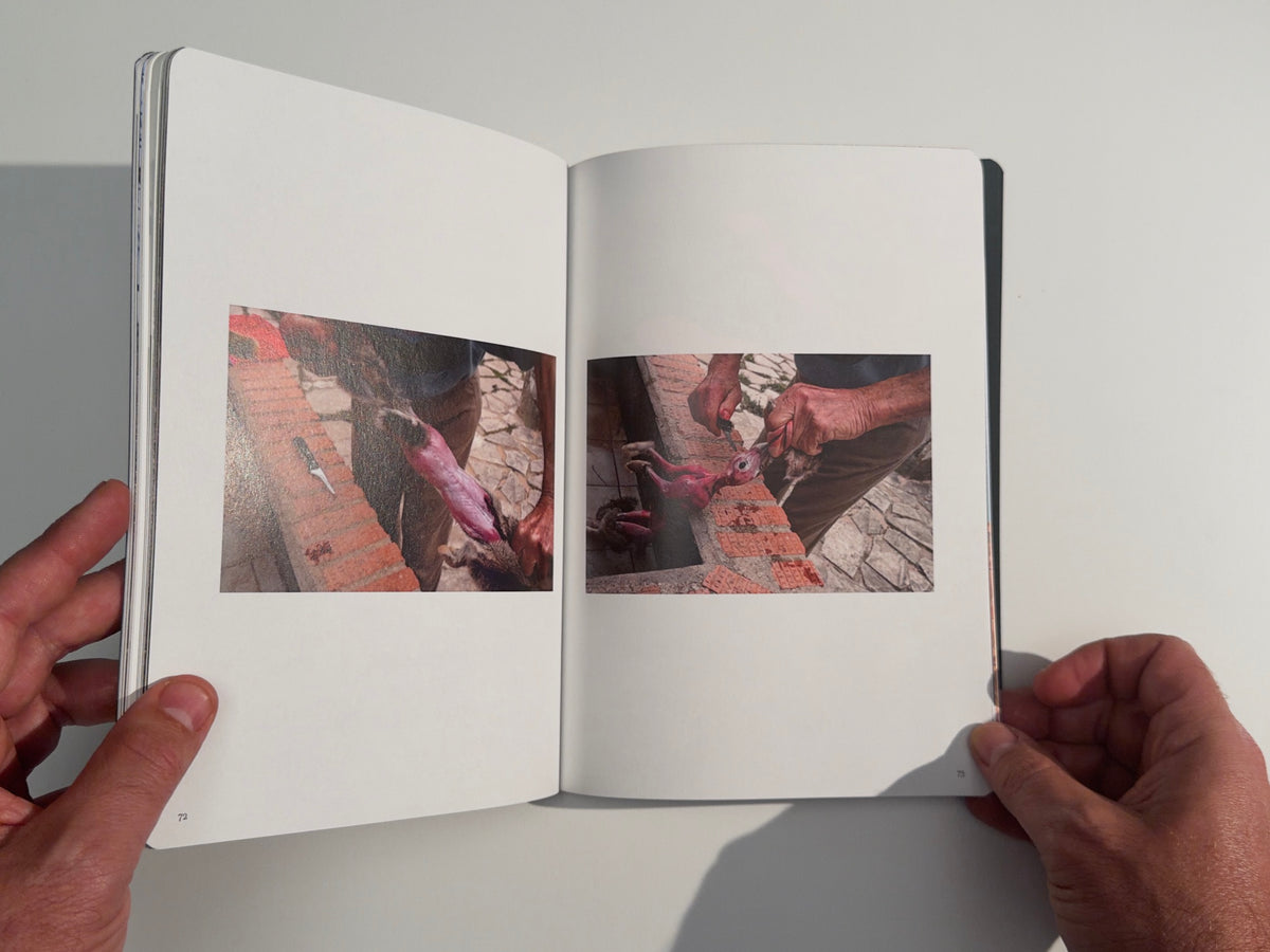 Cuaderno de campo — Antonio Moreno — Fundación CB — 2025
