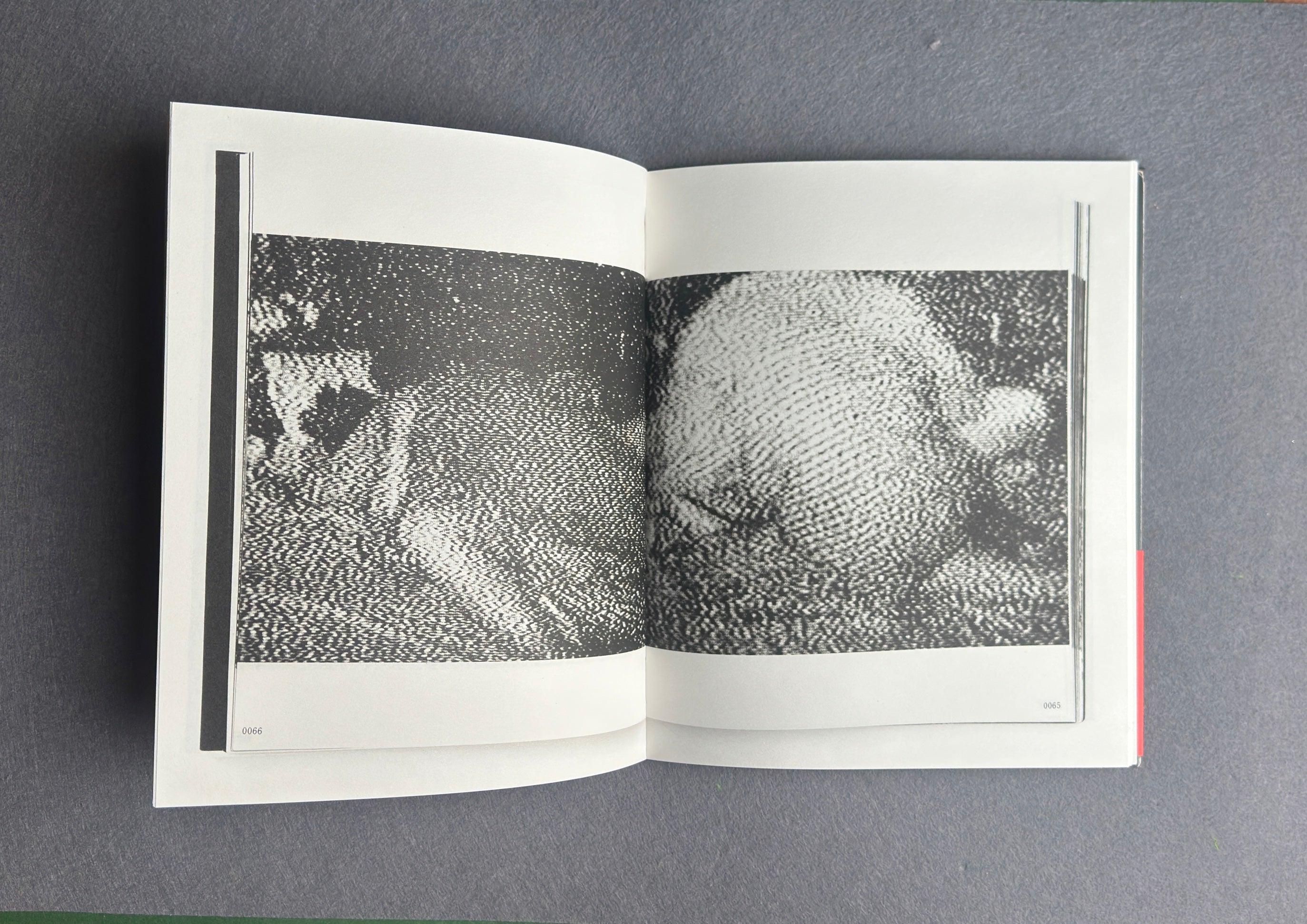 El parque + Documento Koen (Edición limitada) — Kohei Yoshiyuki
