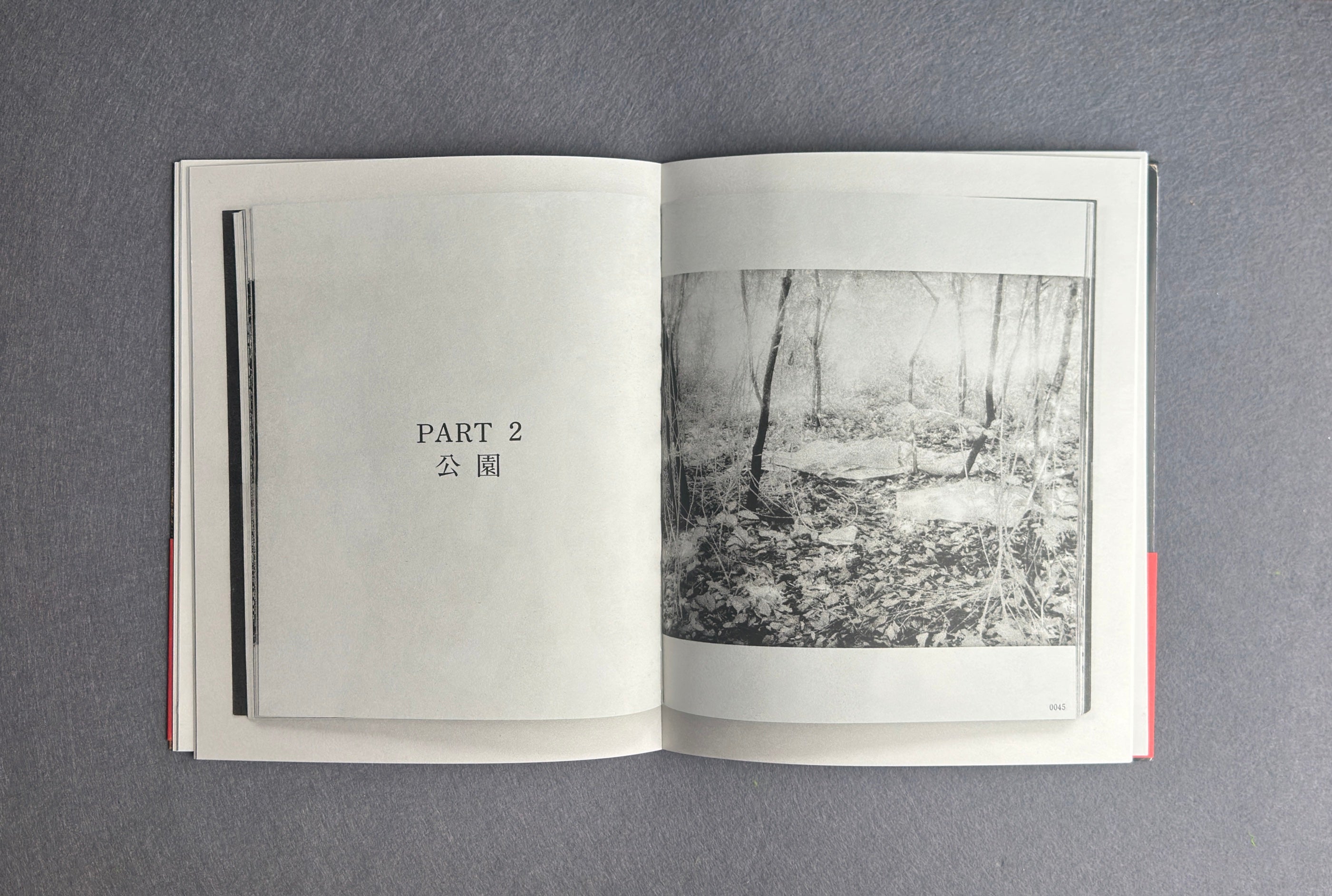 El parque + Documento Koen (Edición limitada) — Kohei Yoshiyuki