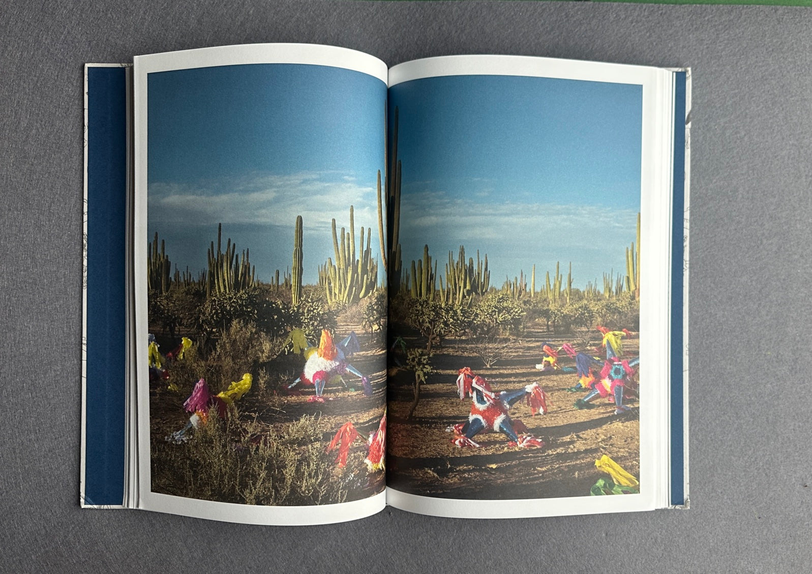 Viaje al centro del mundo — Cristina de Middel, 2024