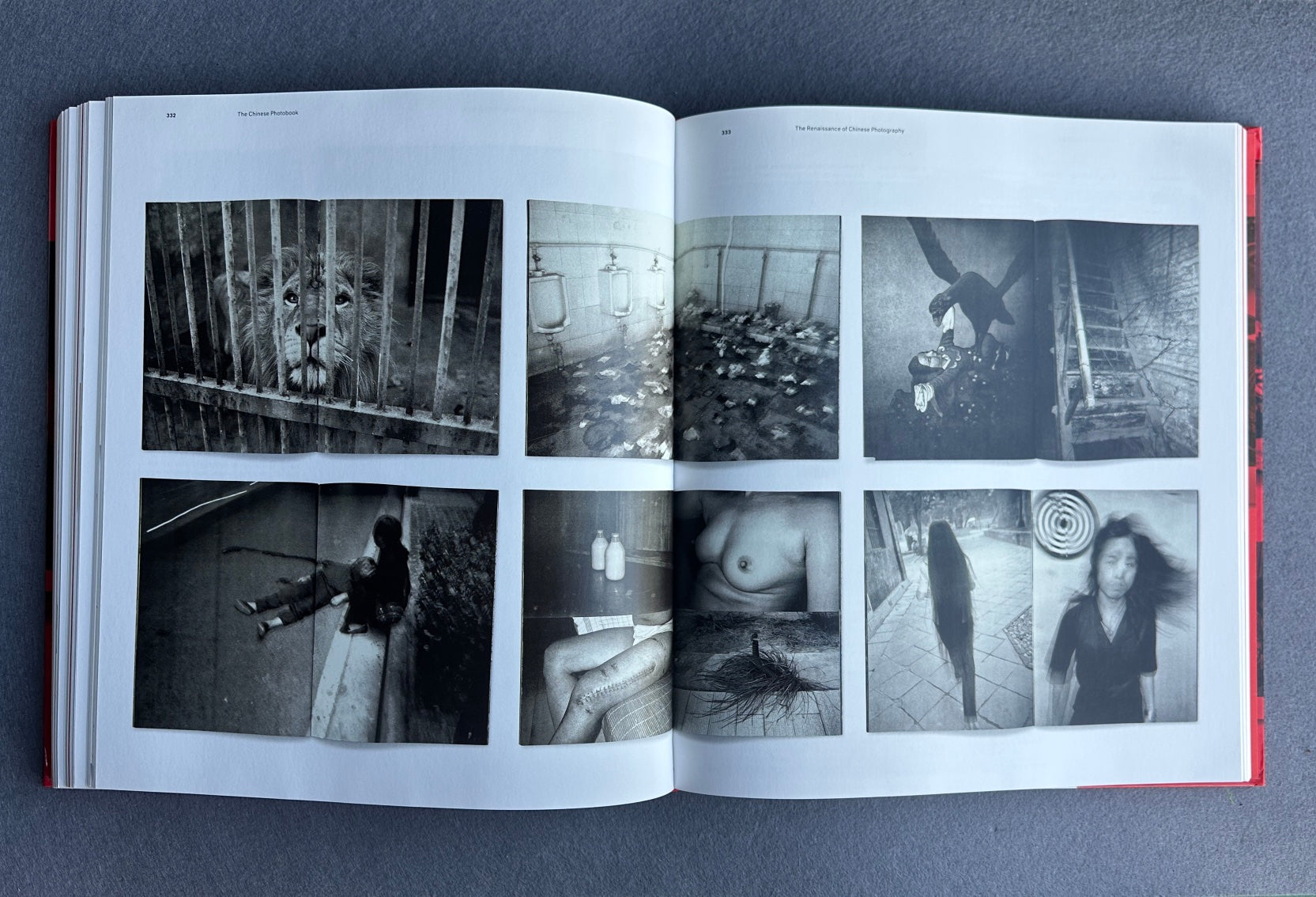 Le livre de photographies chinoises : des années 1900 à nos jours — Édité par Martin Parr et Wassink Lundgren