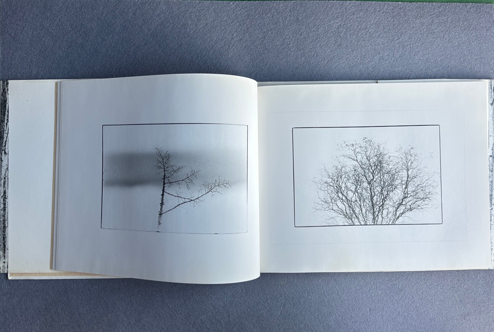 UTSUSHIE — Katsuhisa Ogawa, 1991