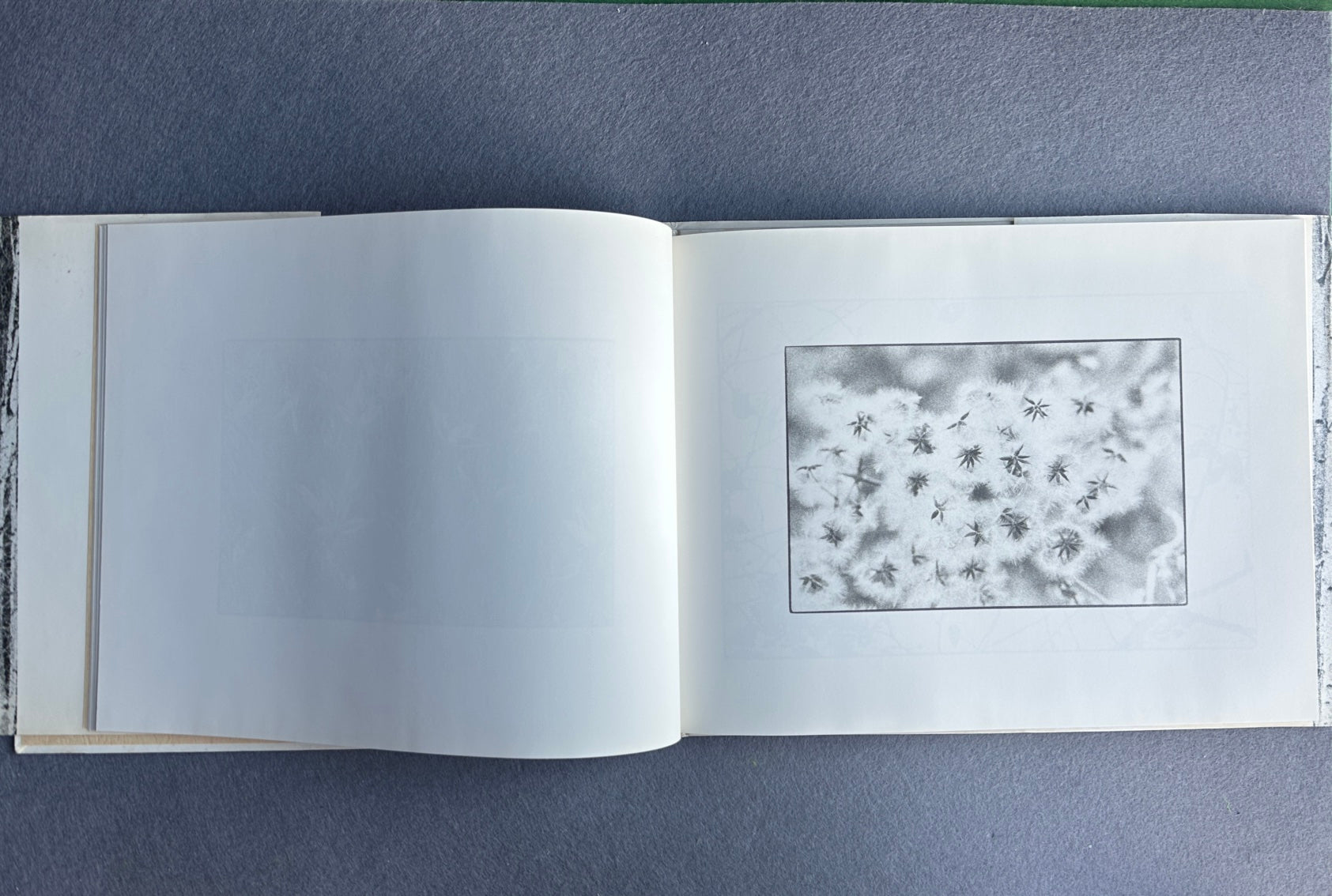 UTSUSHIE — Katsuhisa Ogawa, 1991