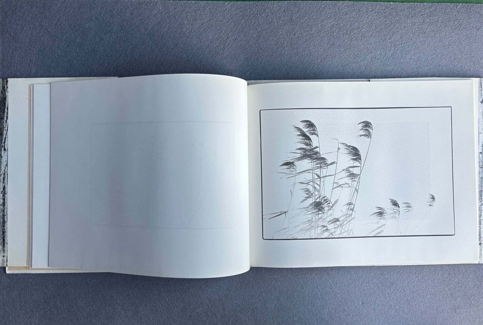 UTSUSHIE — Katsuhisa Ogawa, 1991