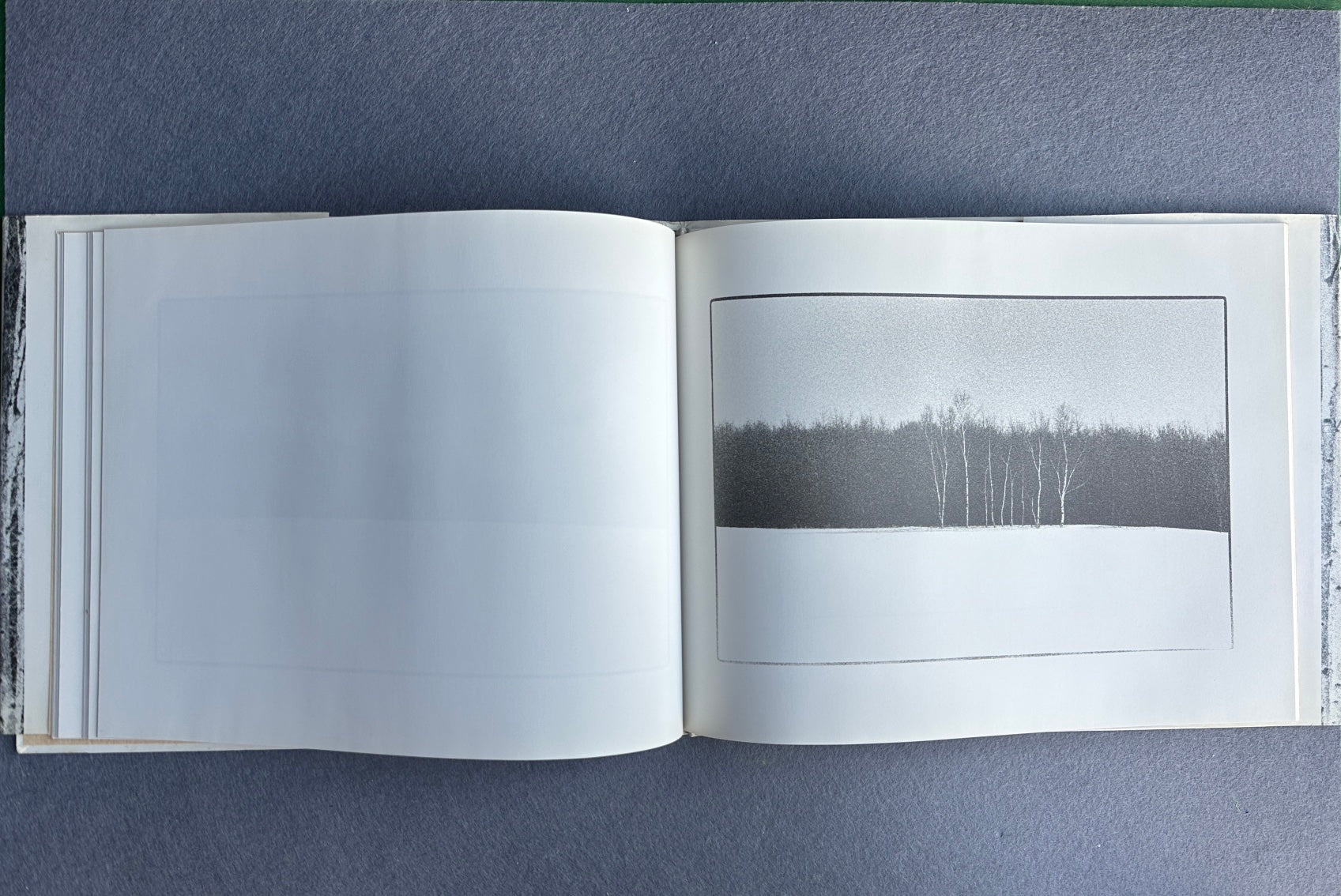 UTSUSHIE — Katsuhisa Ogawa, 1991