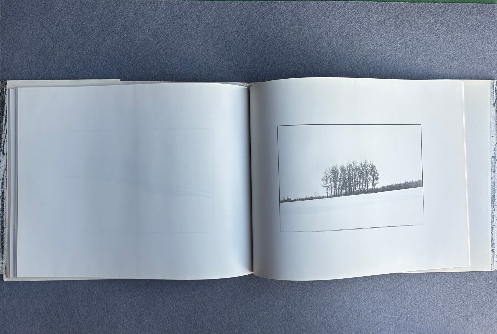 UTSUSHIE — Katsuhisa Ogawa, 1991