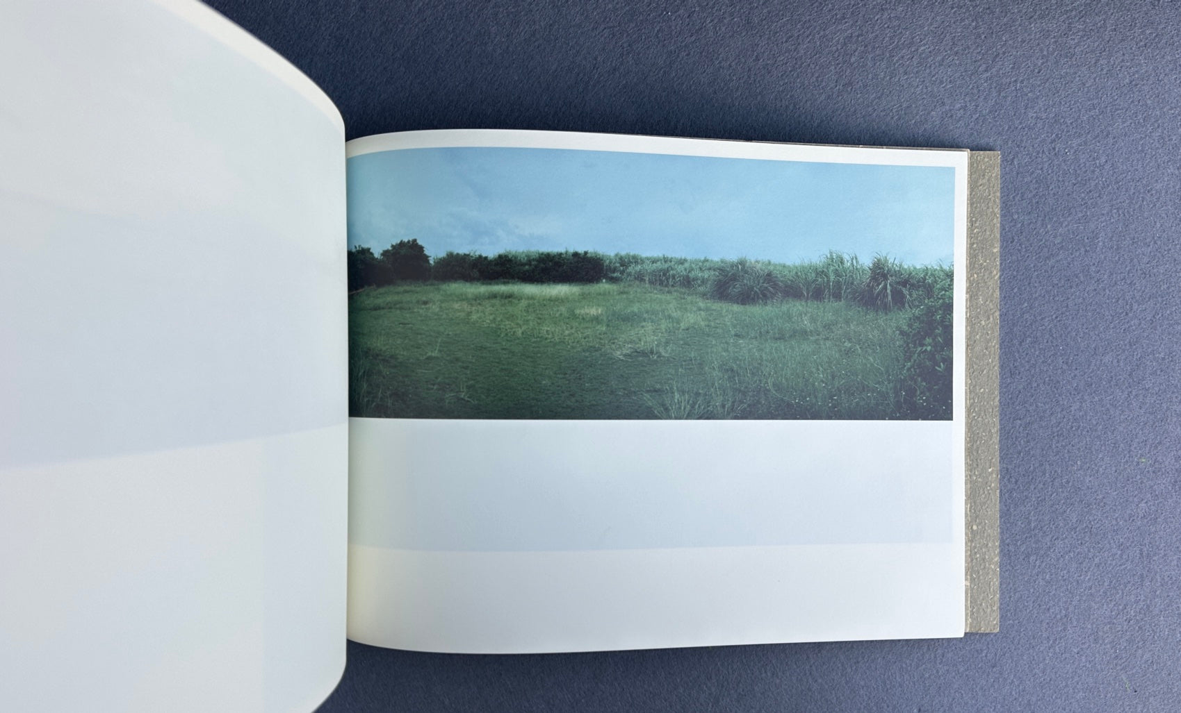 1ā — LA Tomari, primera edición, 2009