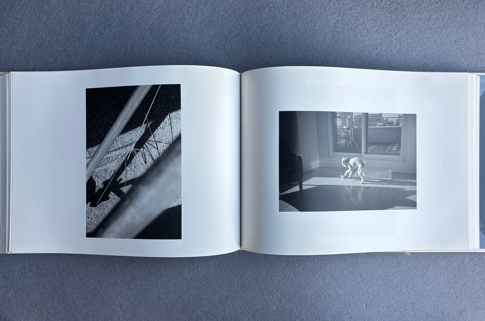 ENFANCE — Miki Hasegawa