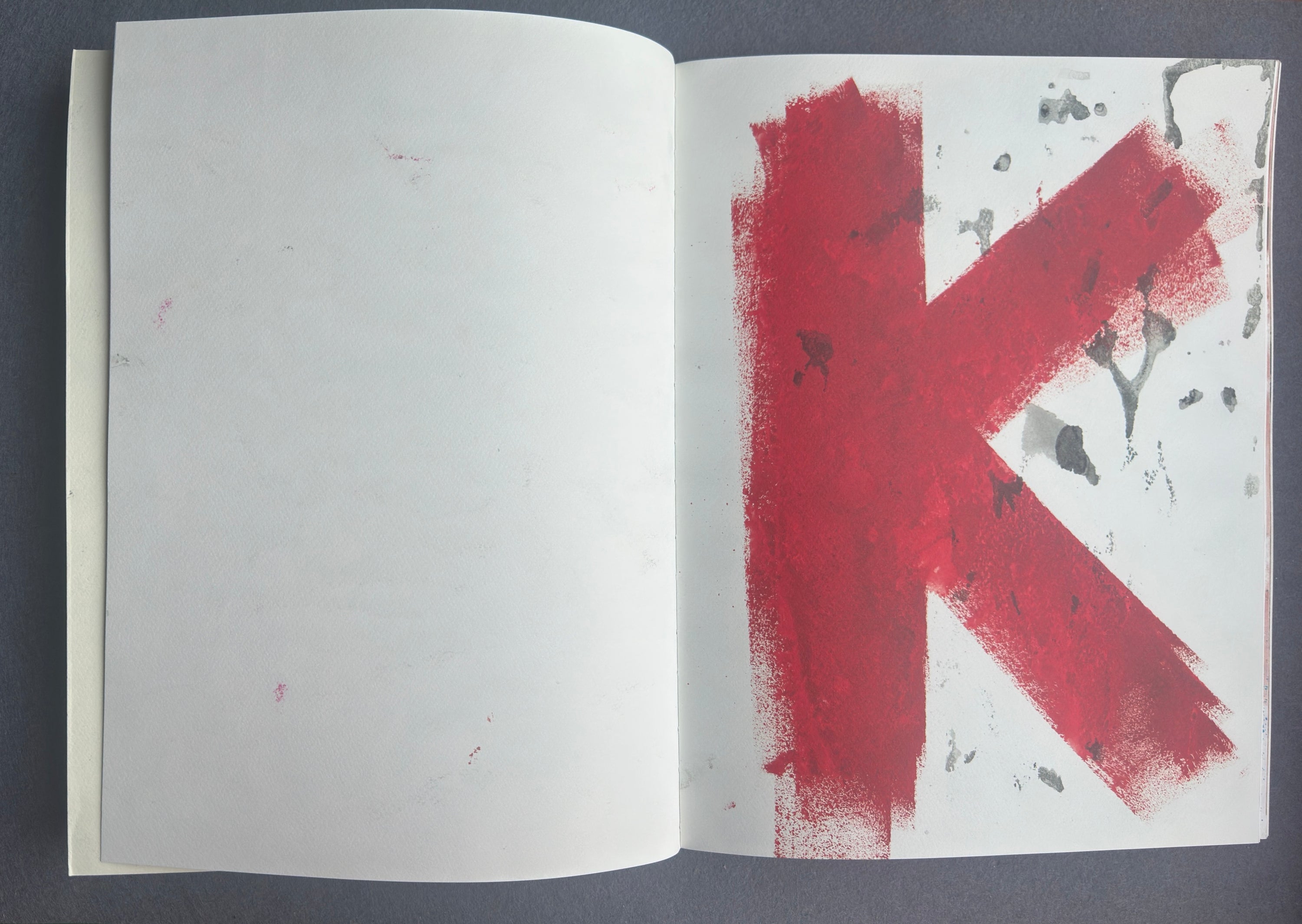 La transformation — Franz Kafka avec les illustrations de Miquel Barceló (première édition, 2020)