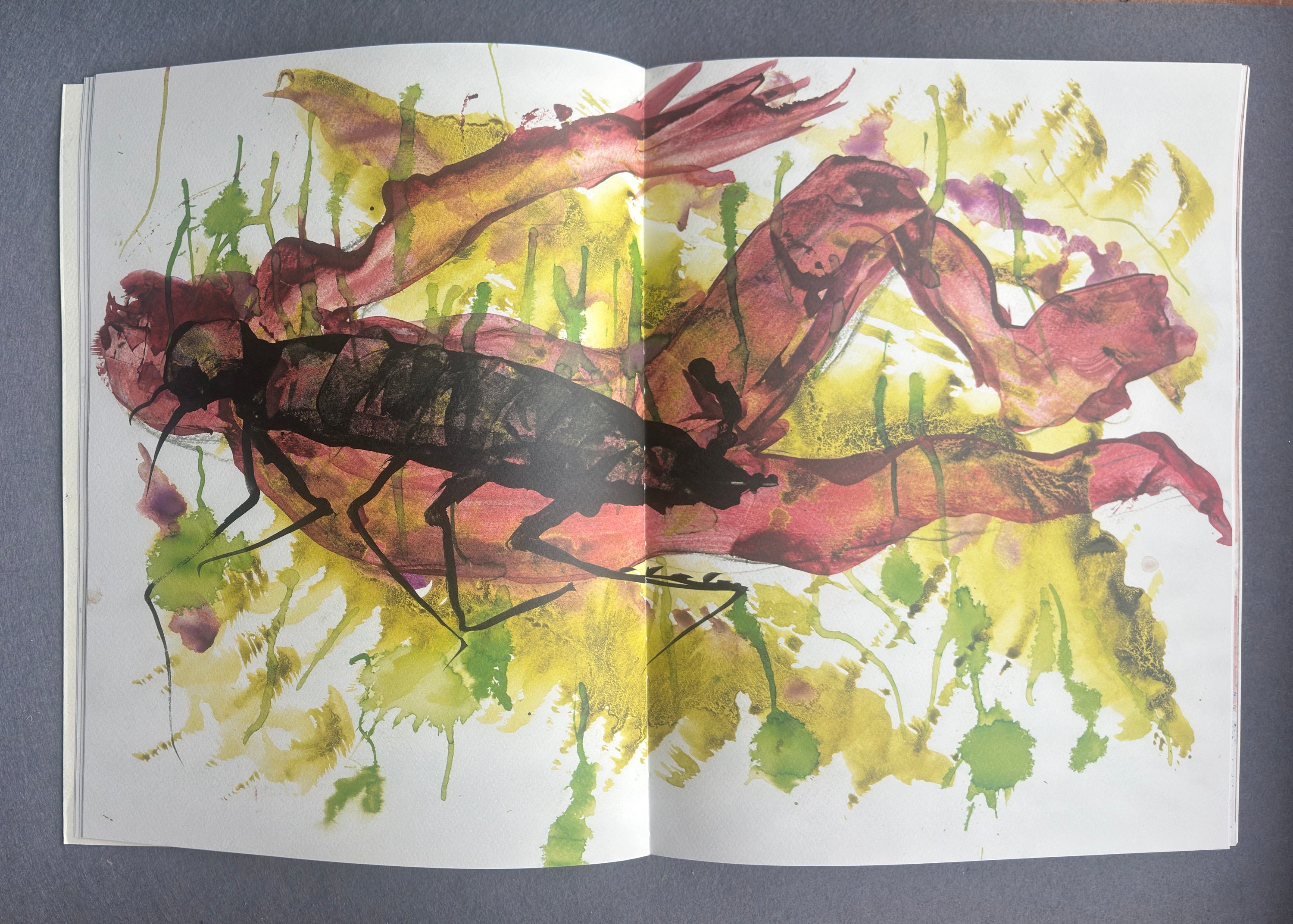La transformation — Franz Kafka avec les illustrations de Miquel Barceló (première édition, 2020)