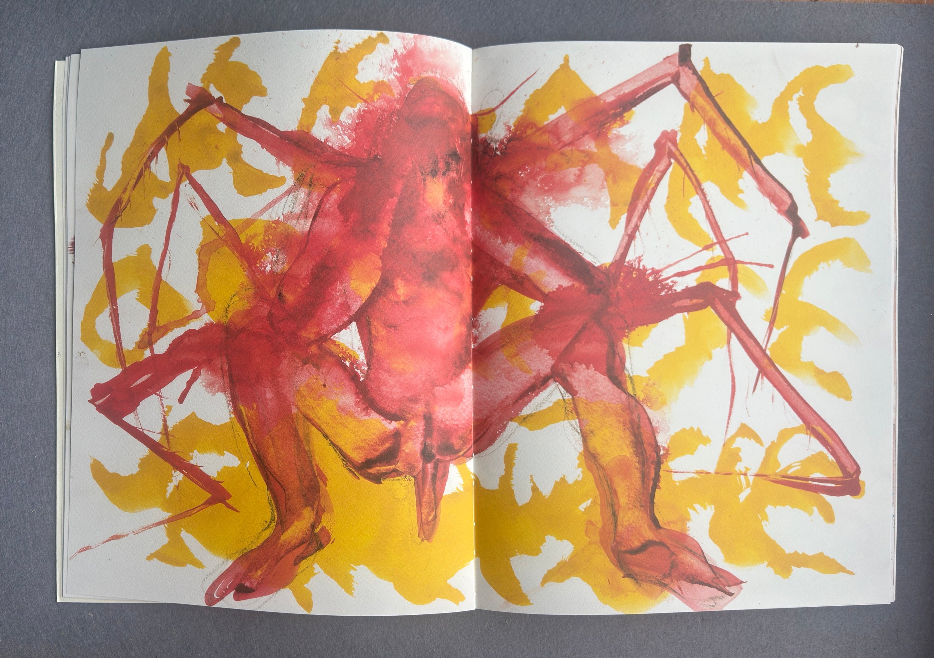La transformation — Franz Kafka avec les illustrations de Miquel Barceló (première édition, 2020)