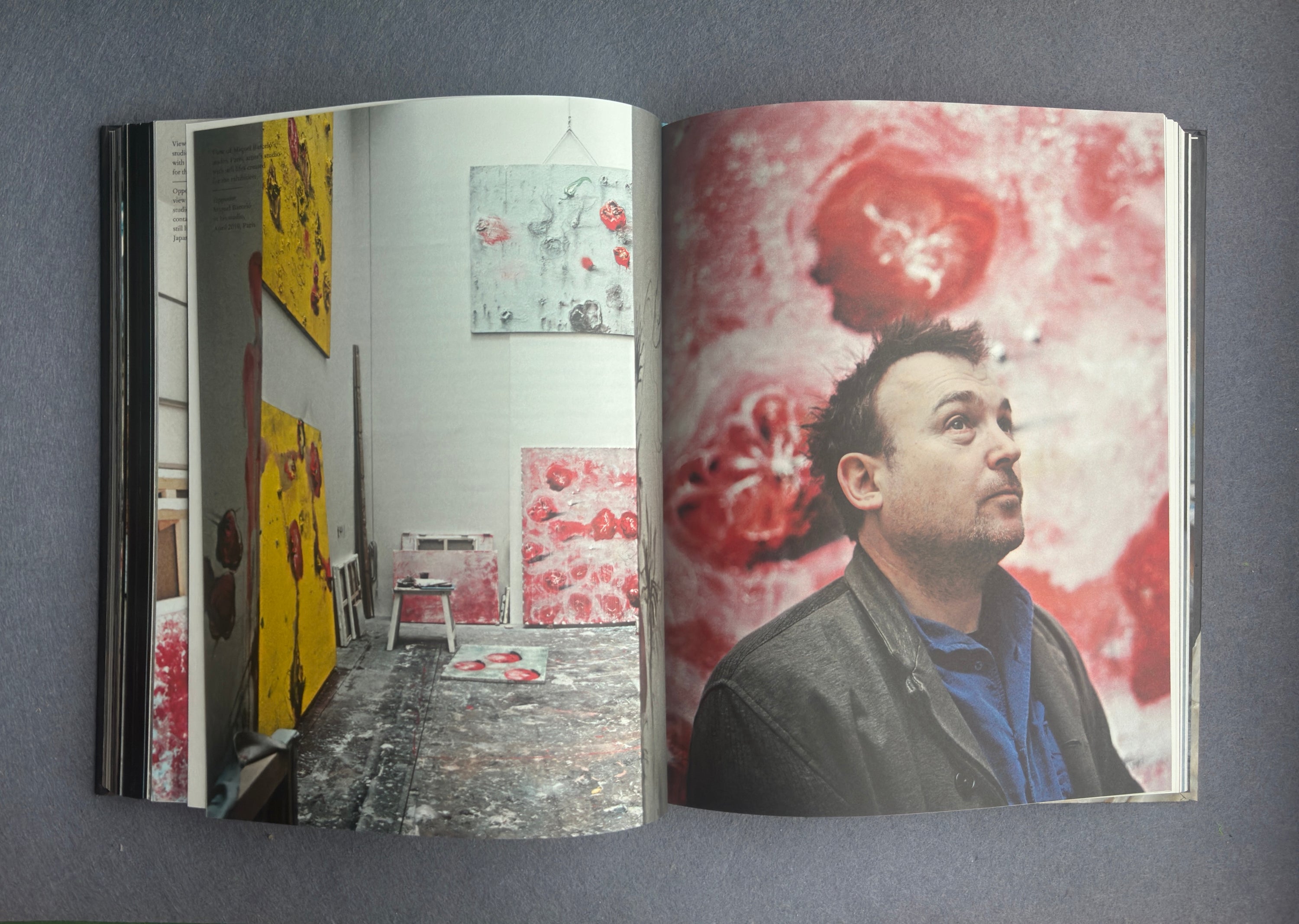 Terramare — Miquel Barceló (Actes Sud / Colección Lambert, 2010)