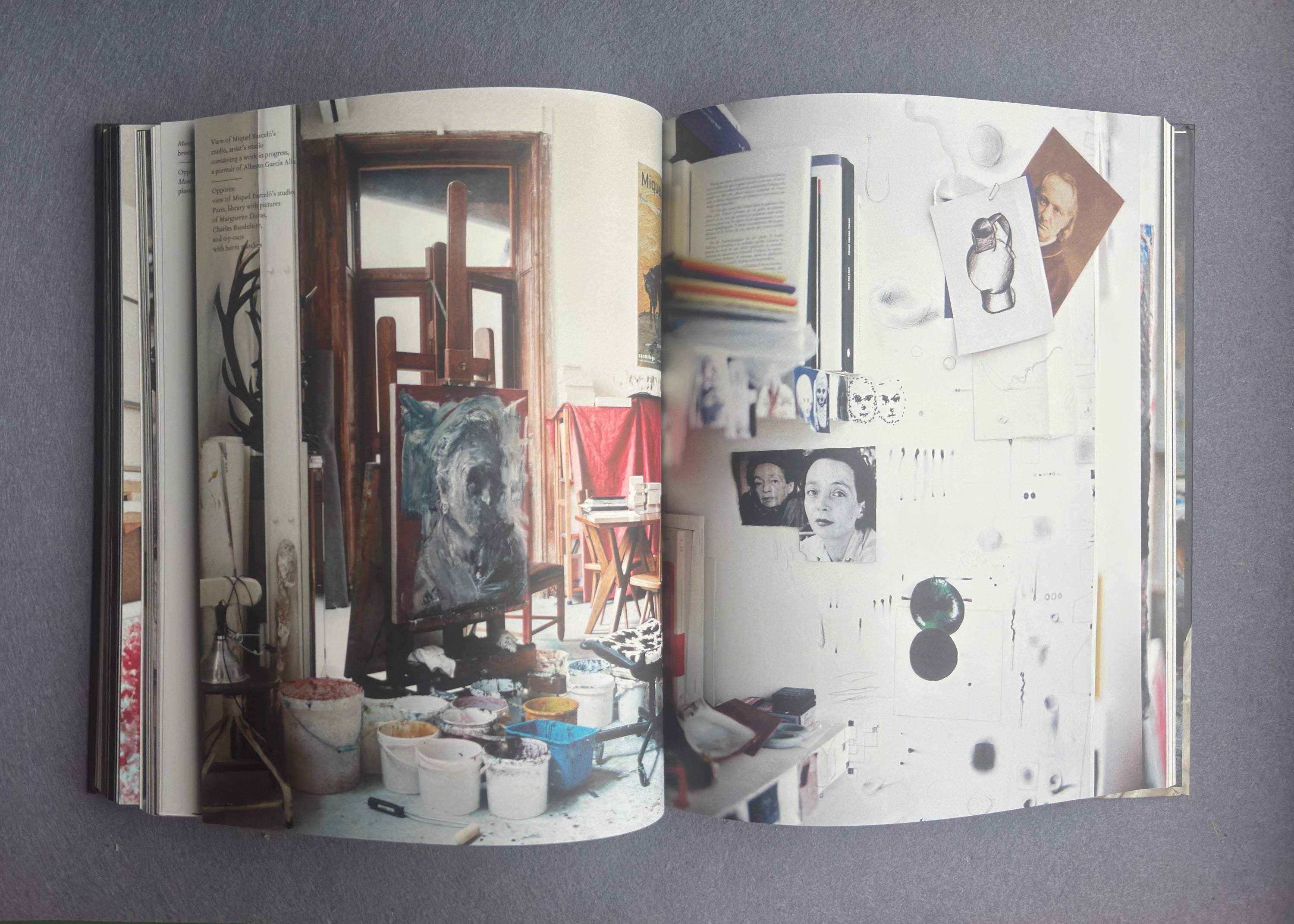 Terramare — Miquel Barceló (Actes Sud / Colección Lambert, 2010)