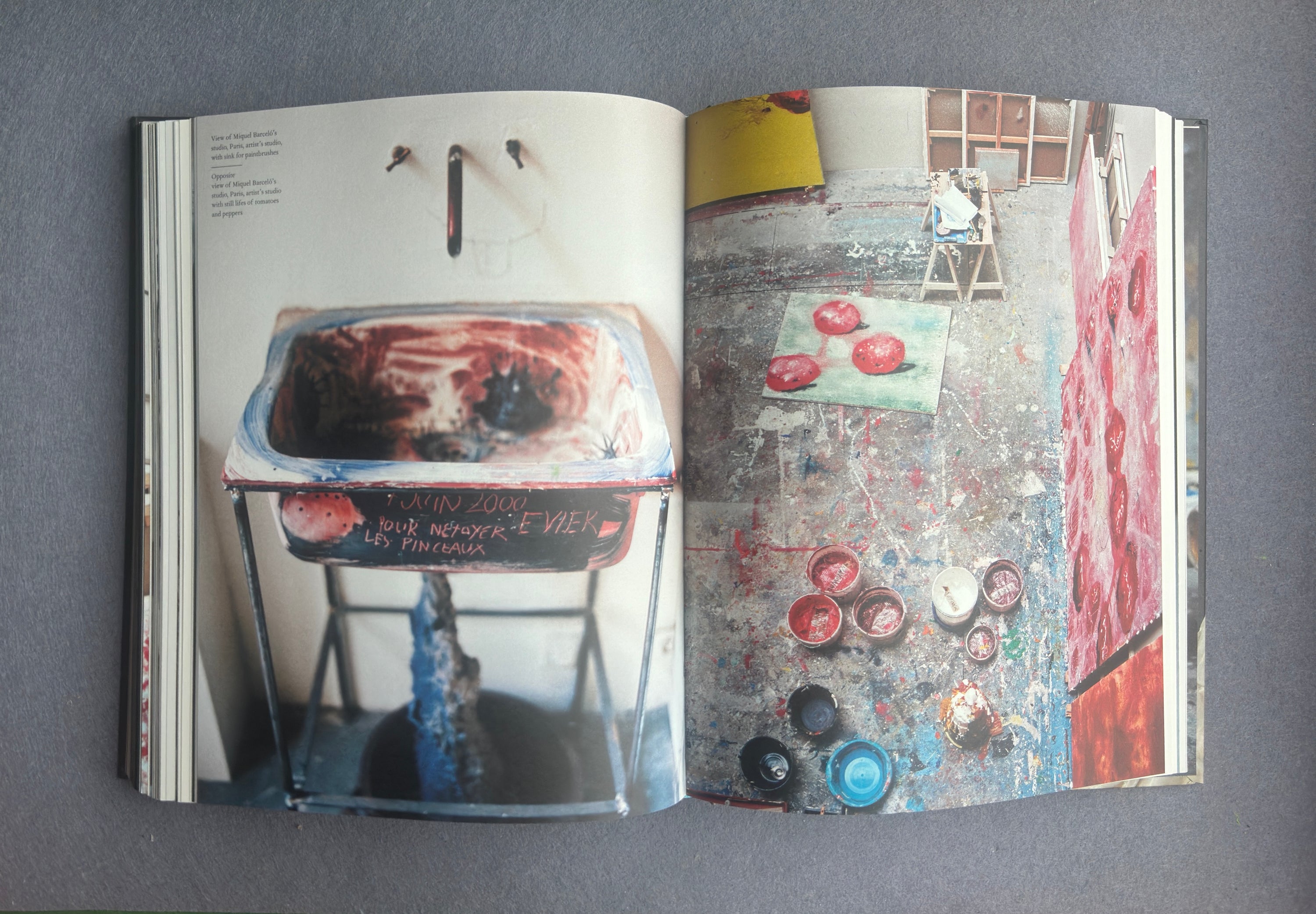 Terramare — Miquel Barceló (Actes Sud / Colección Lambert, 2010)