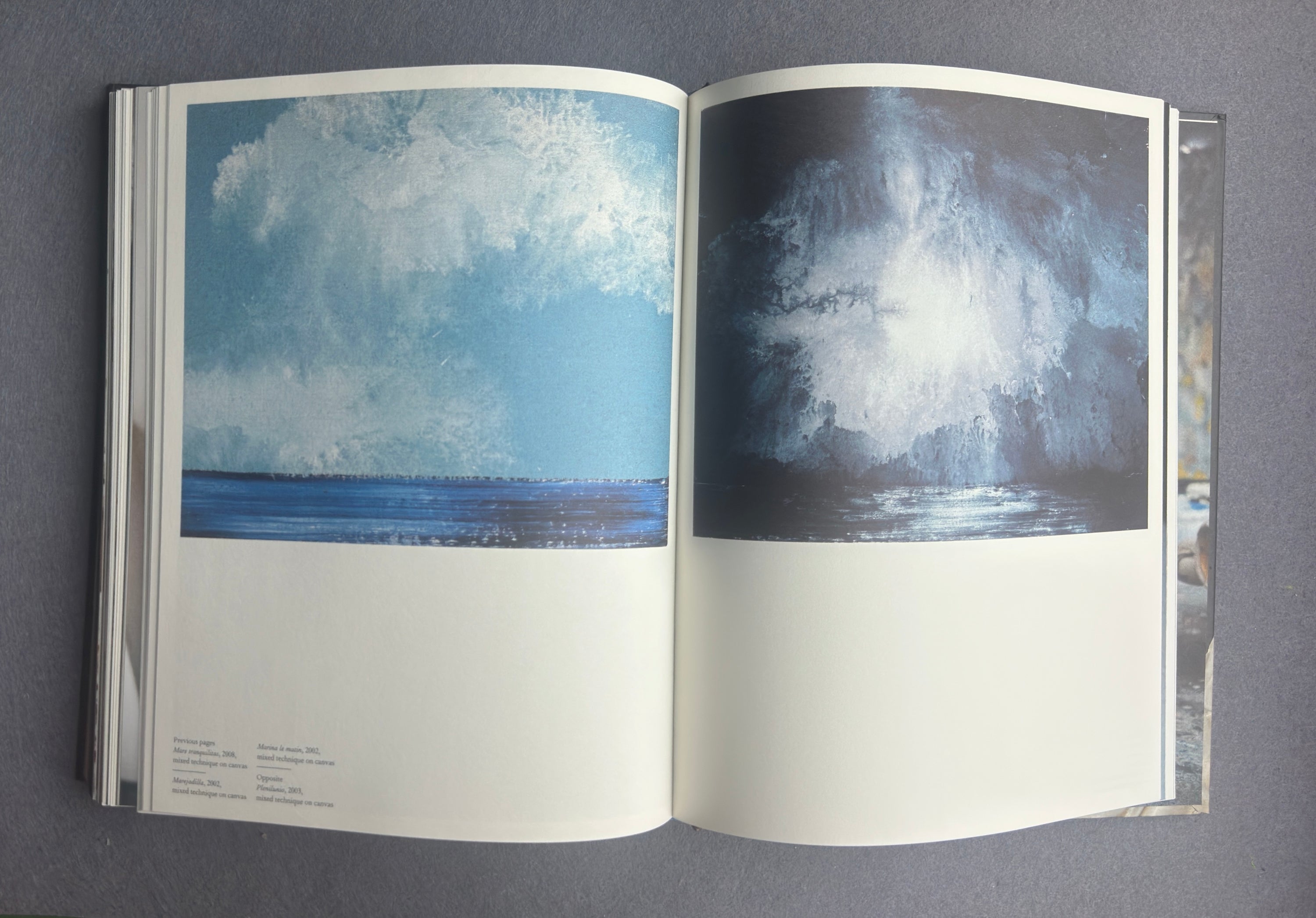 Terramare — Miquel Barceló (Actes Sud / Colección Lambert, 2010)
