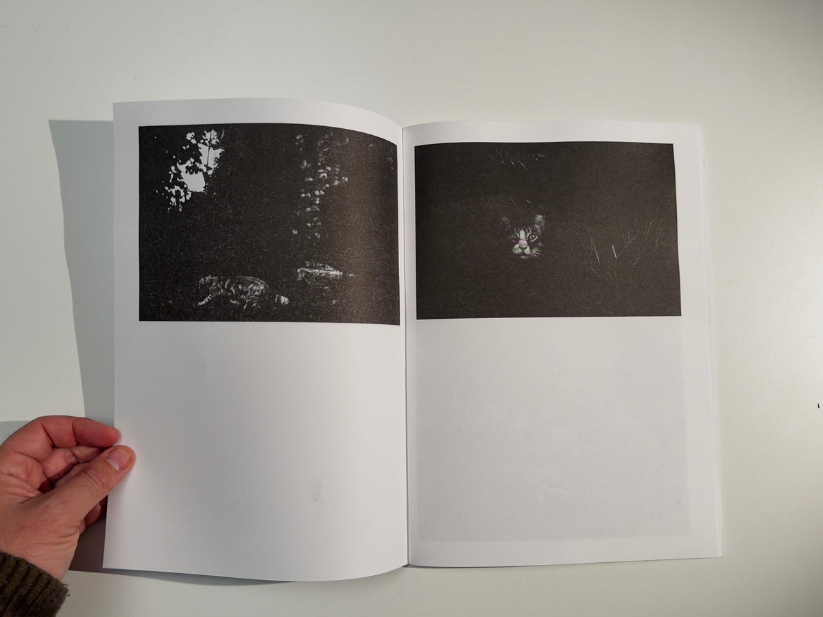 Emergence — Giacomo Brunelli & Joseph Rutakangwa — Éditions Bessard — 2025